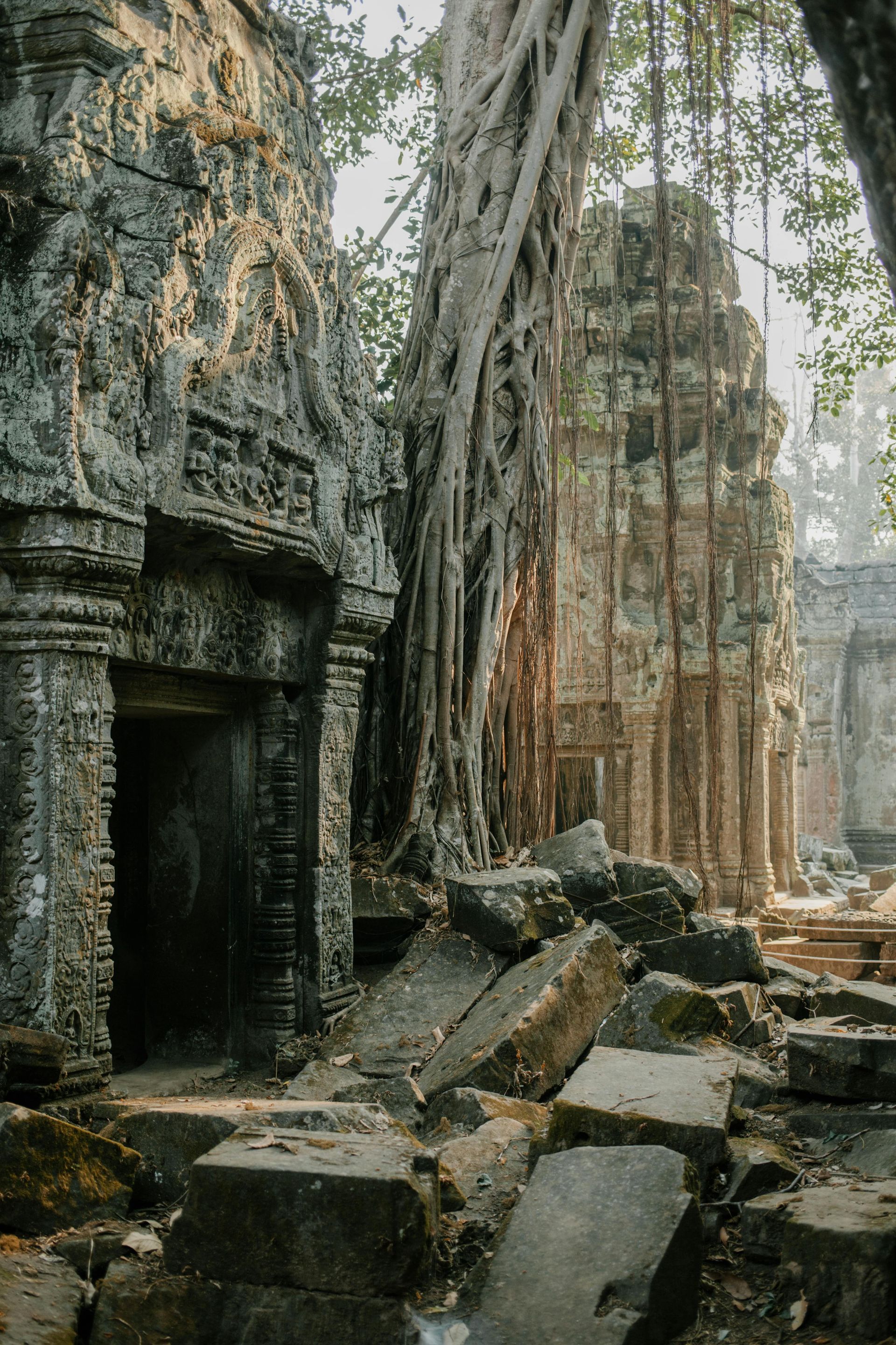 A very old building with a tree growing out of it in Cambodia.