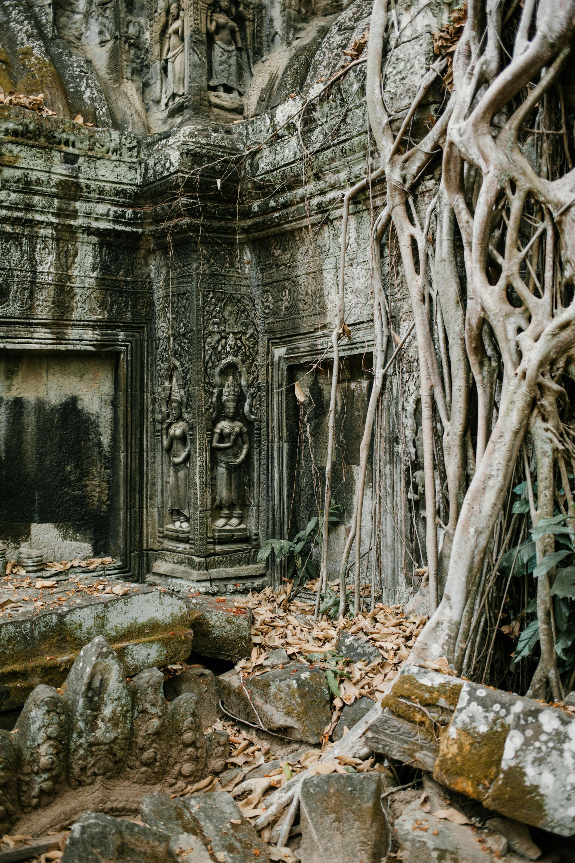 The Ta Prohm Temple with a lot of roots growing out of it in Cambodia.