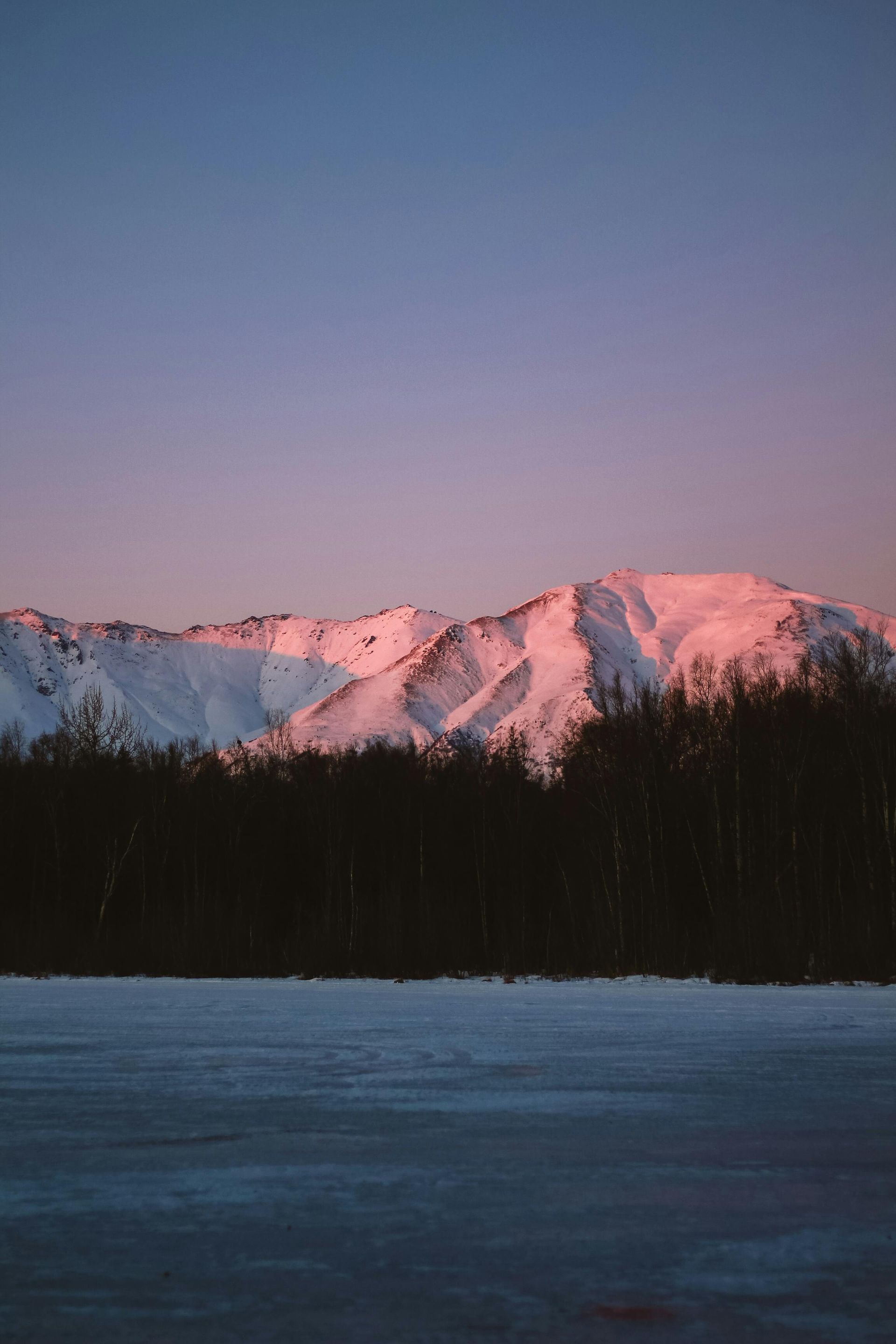 The mountains are covered in snow and there is a snowy field in the foreground in Alaska.