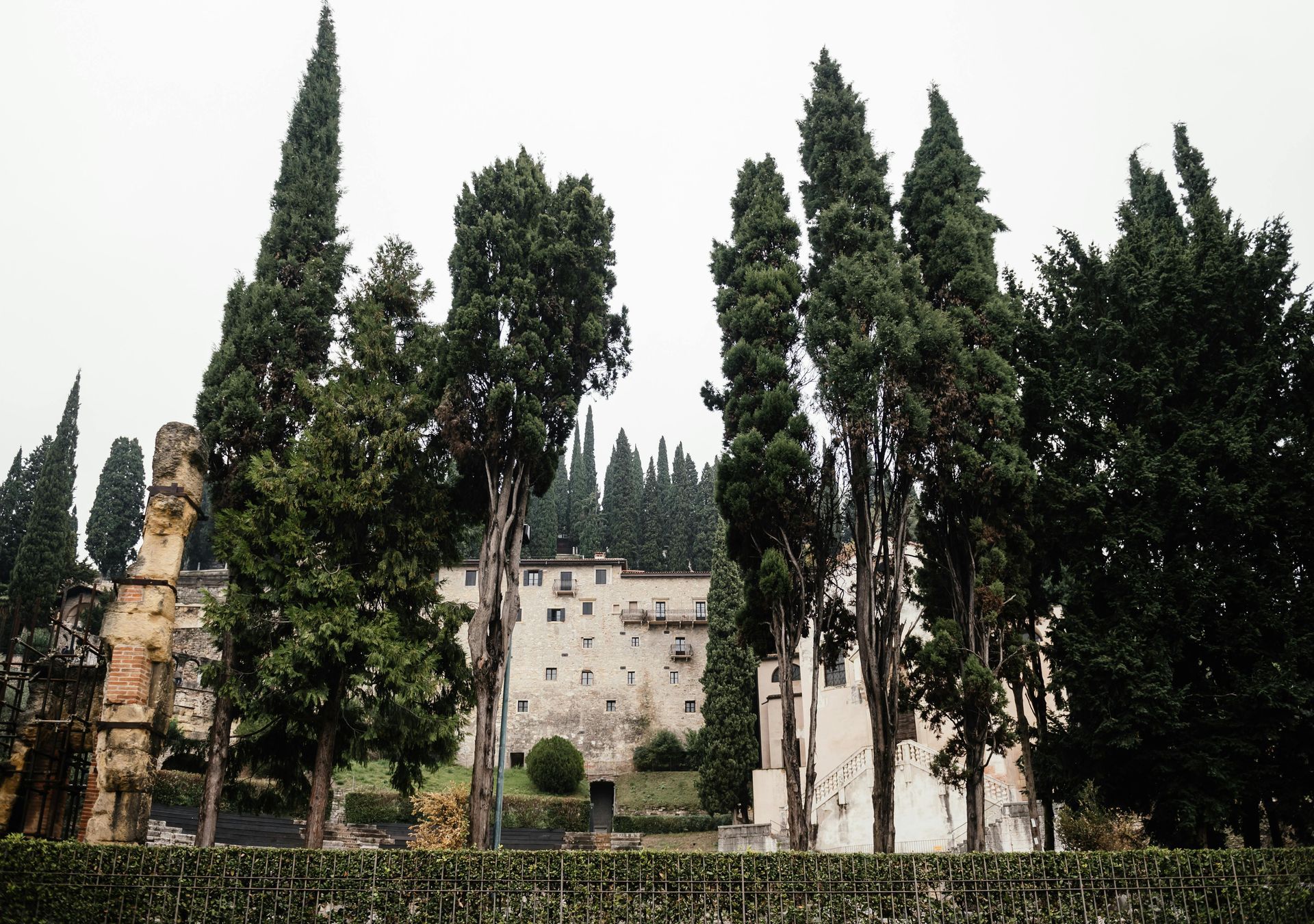 A row of trees with a building in the background in Verona, Italy.