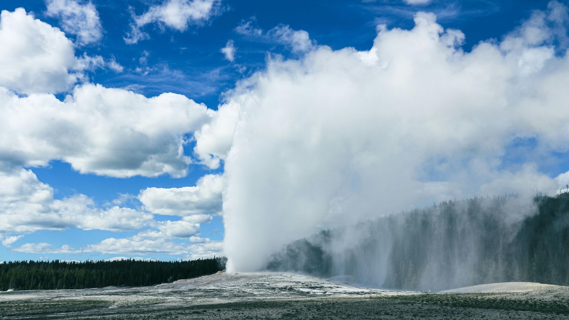 The large geyser, Old Faithful is erupting in the middle of a field in Yellowstone national Park.