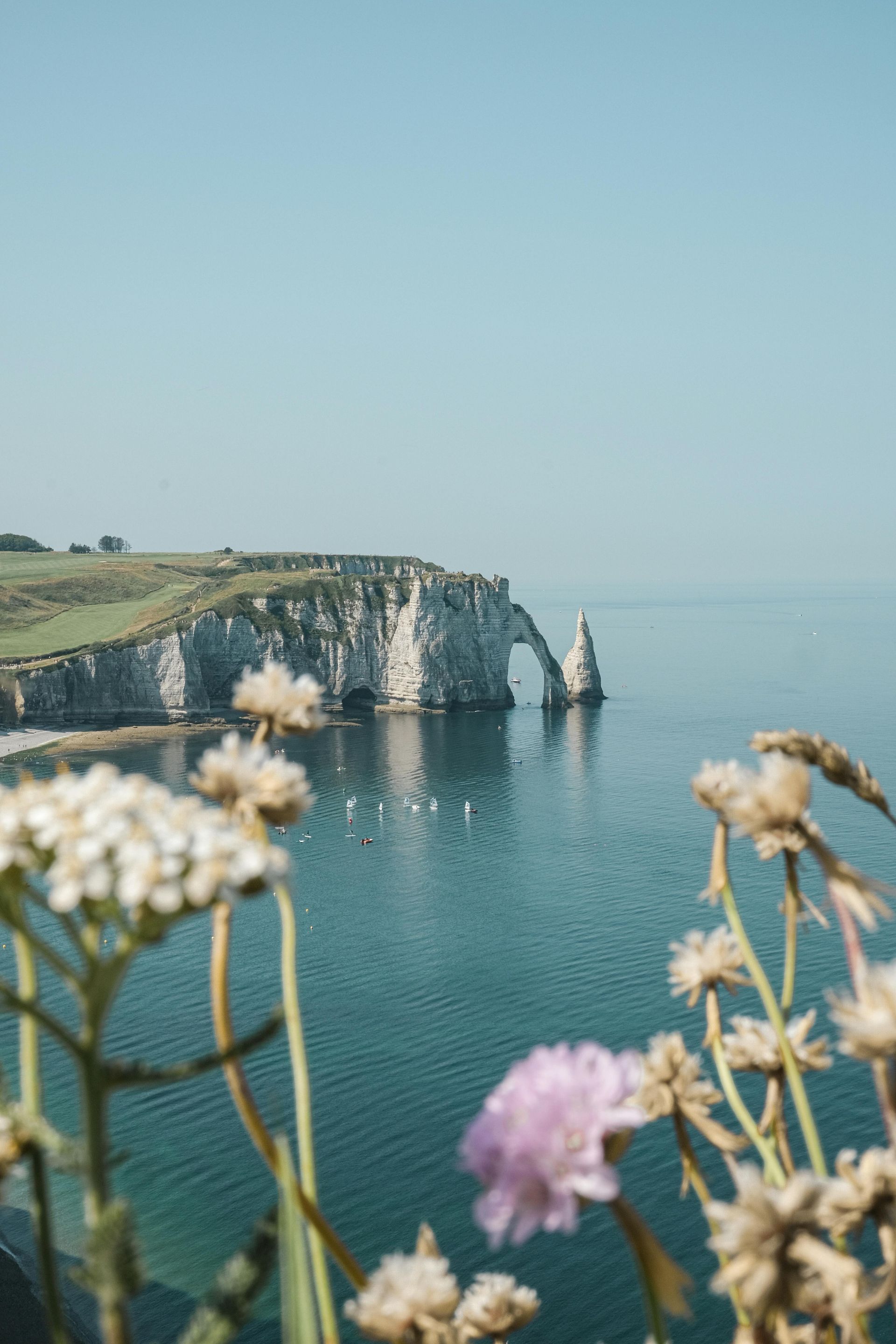 A view of Étretat cliff overlooking the ocean with flowers in the foreground in Normandy, France.