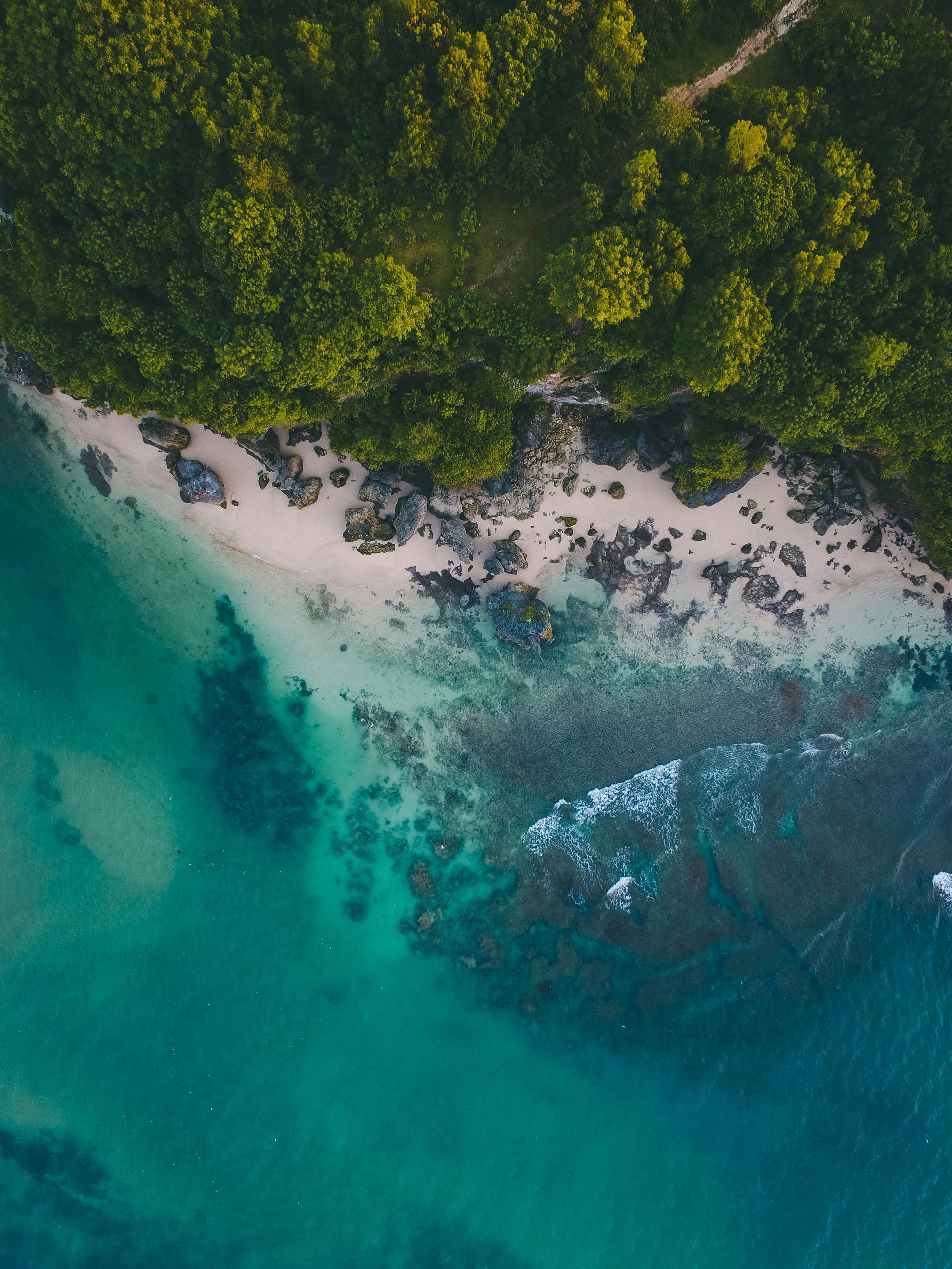 An aerial view of a beach with trees and a body of water in Indonesia.