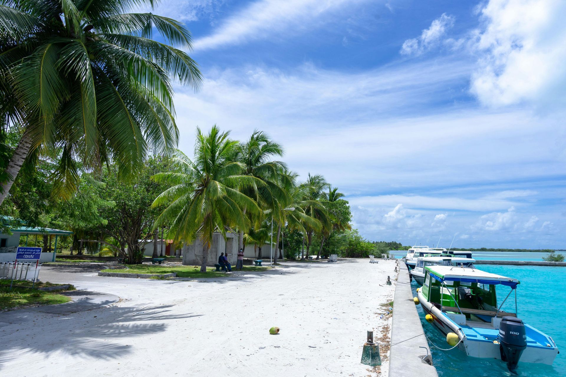 A beach with palm trees and boats docked in the water in French Polynesia.