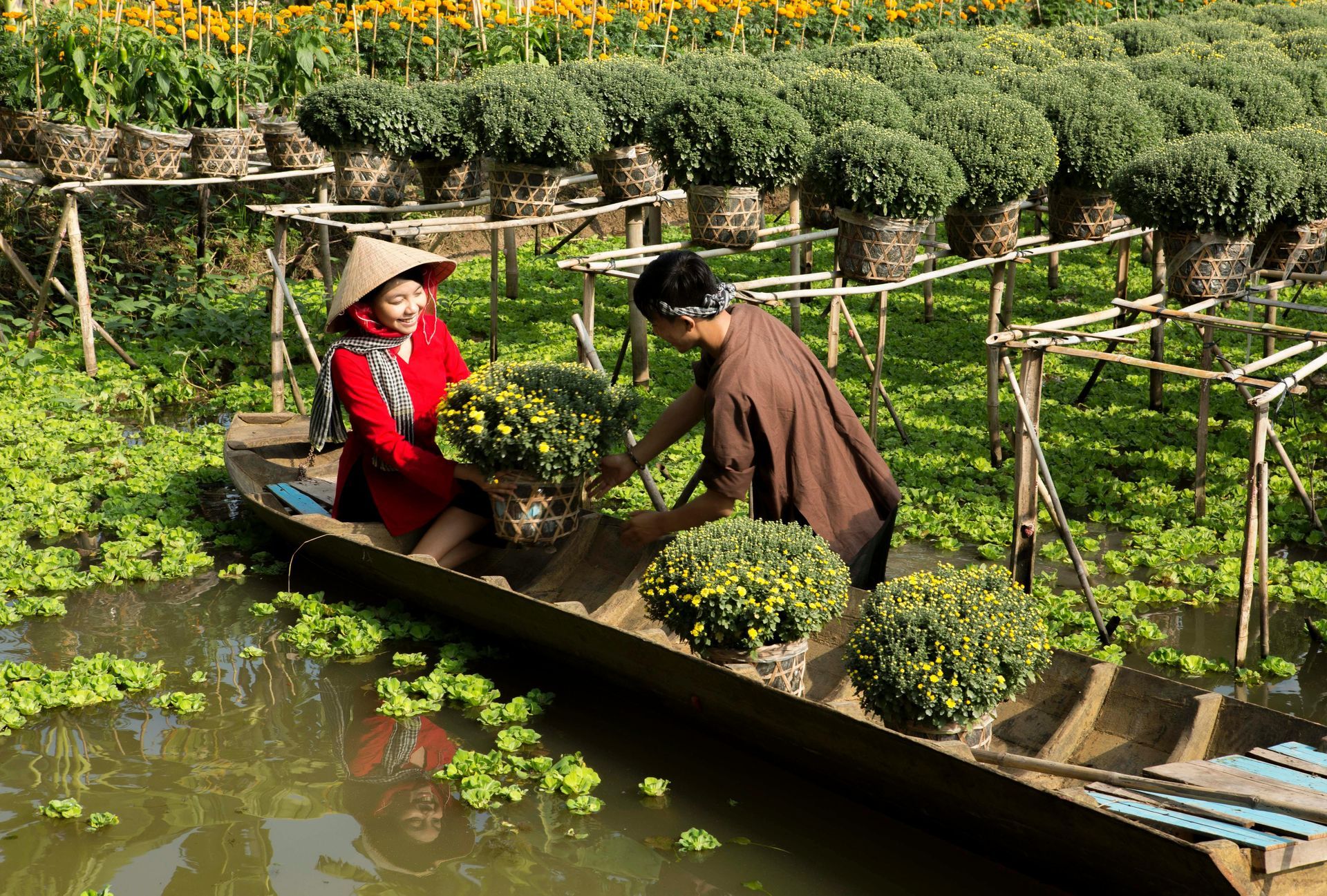 A man and a woman are in a boat harvesting with flowers in Mekong River Delta, Vietnam.