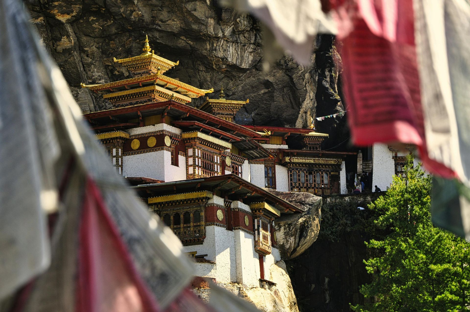 The Tiger's Nest Monastery temple sitting on top of a cliff surrounded by trees and flags in Bhutan.