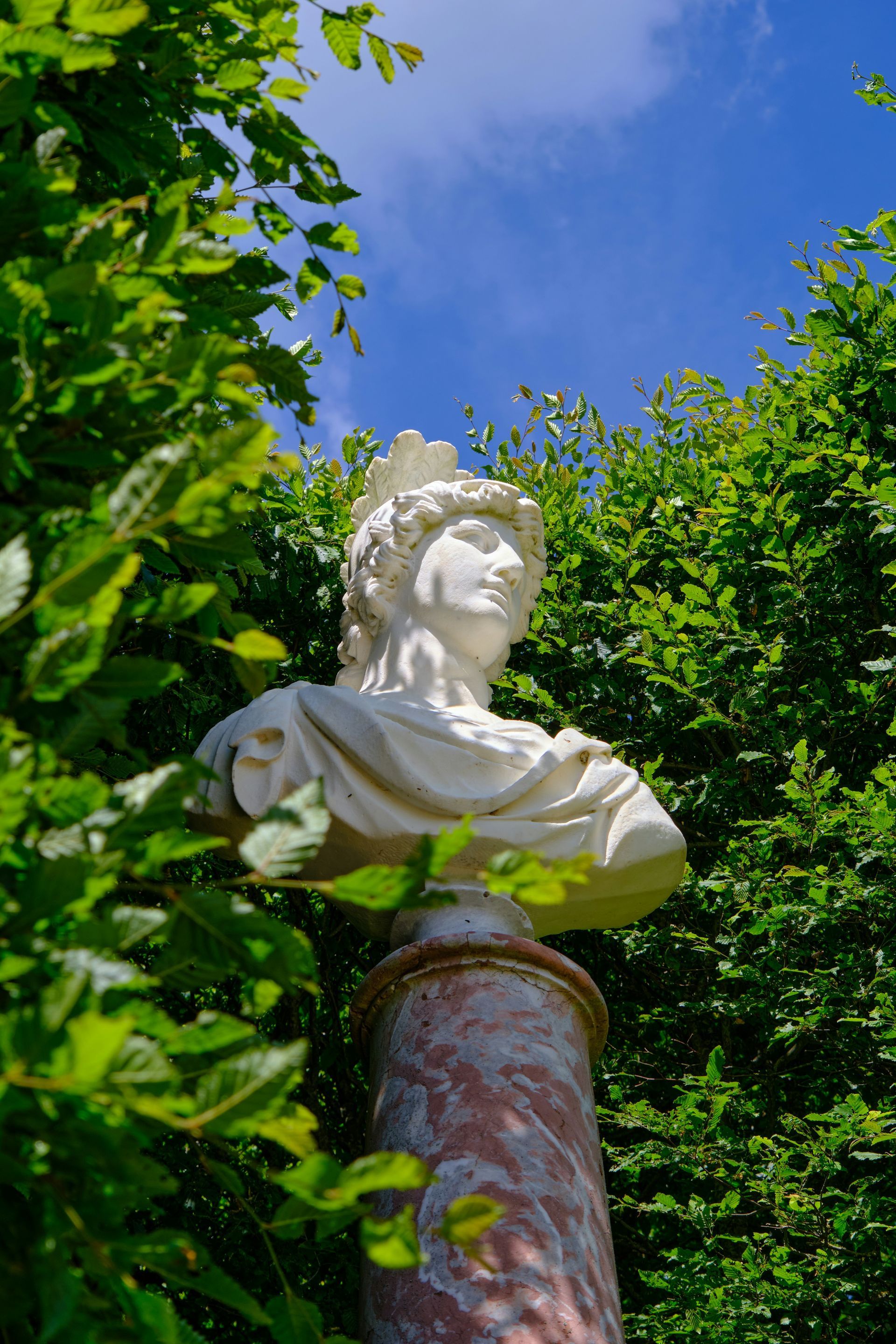 A statue of a woman 's head is surrounded by trees and bushes at the Palace of Versailles in France.