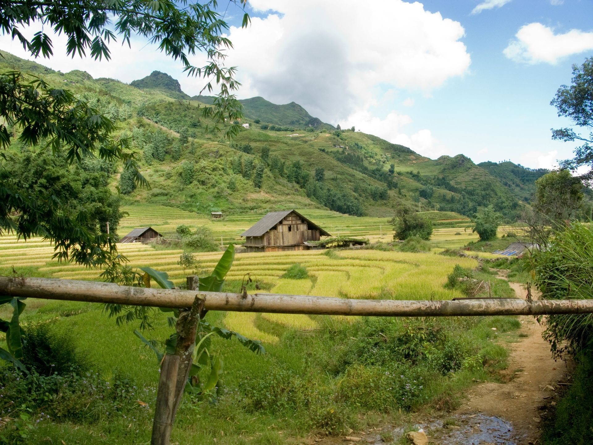 Wooden house in a valley with rice fields, surrounded by lush green hills, in Sapa, Vietnam. 