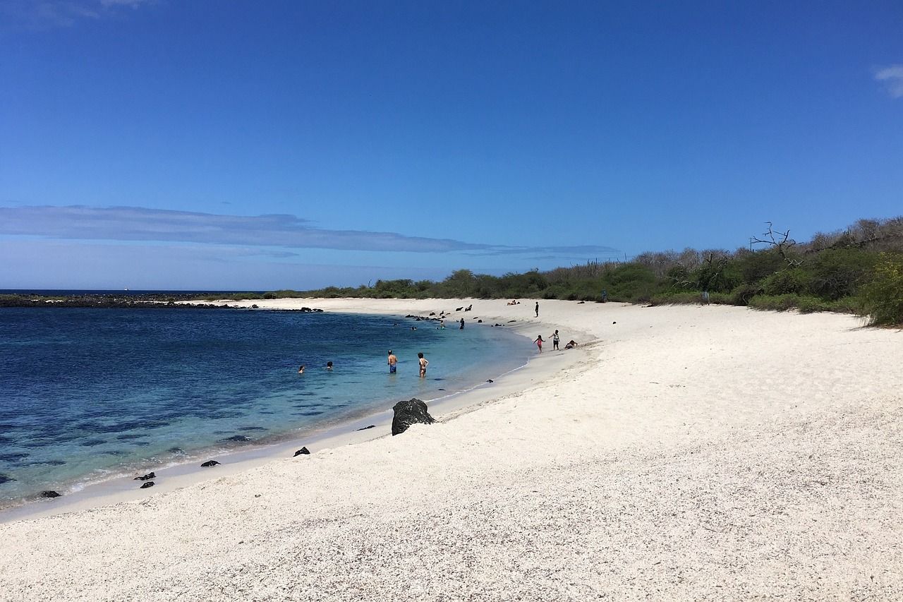 A group of people are standing on a sandy beach next to a body of water in the Galapagos.