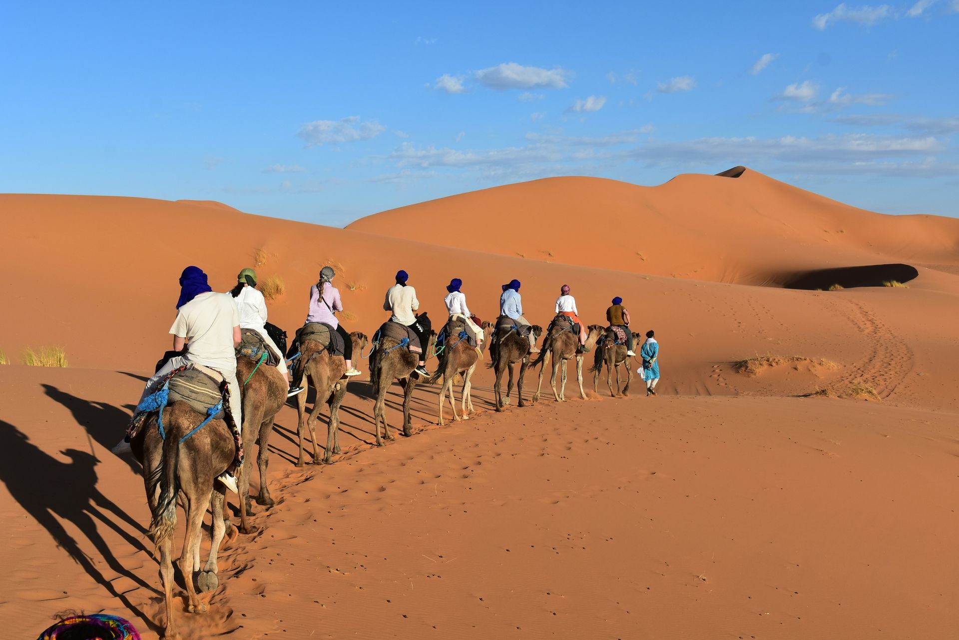 A group of people are riding camels in the desert in Erg Chebbi, Morocco.