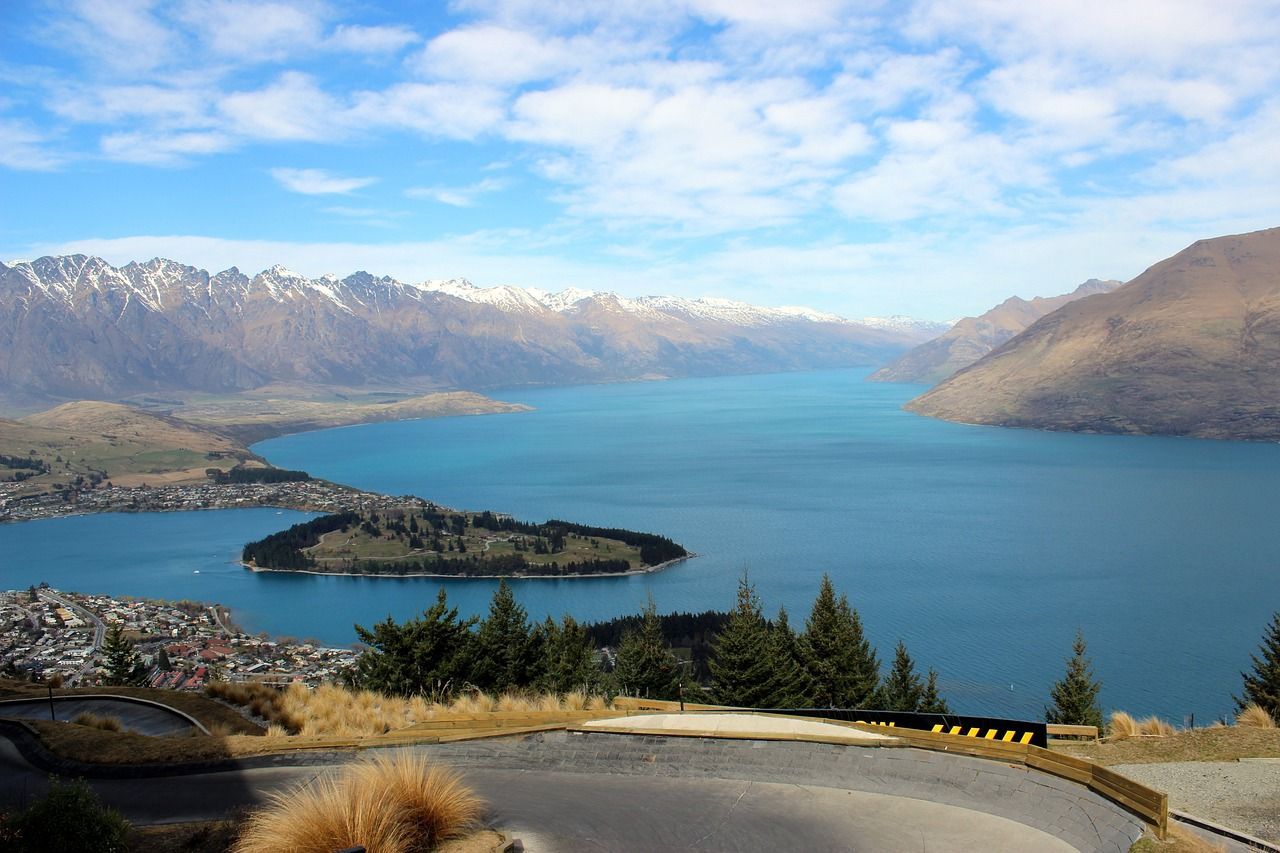 A dog is sitting on the side of a road overlooking a lake with mountains in the background in New Zealand.