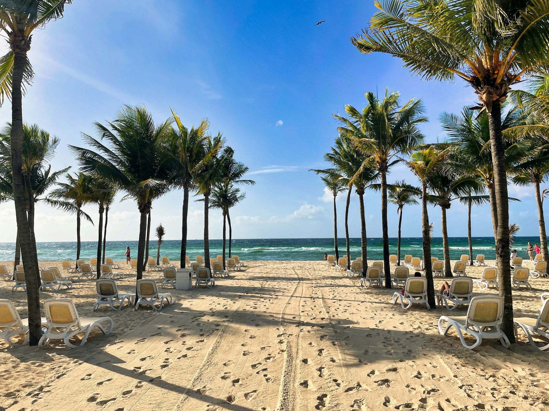 Sandy beach with rows of palm trees, beach chairs, and the ocean under a bright blue sky in Playa del Carmen, Mexico.