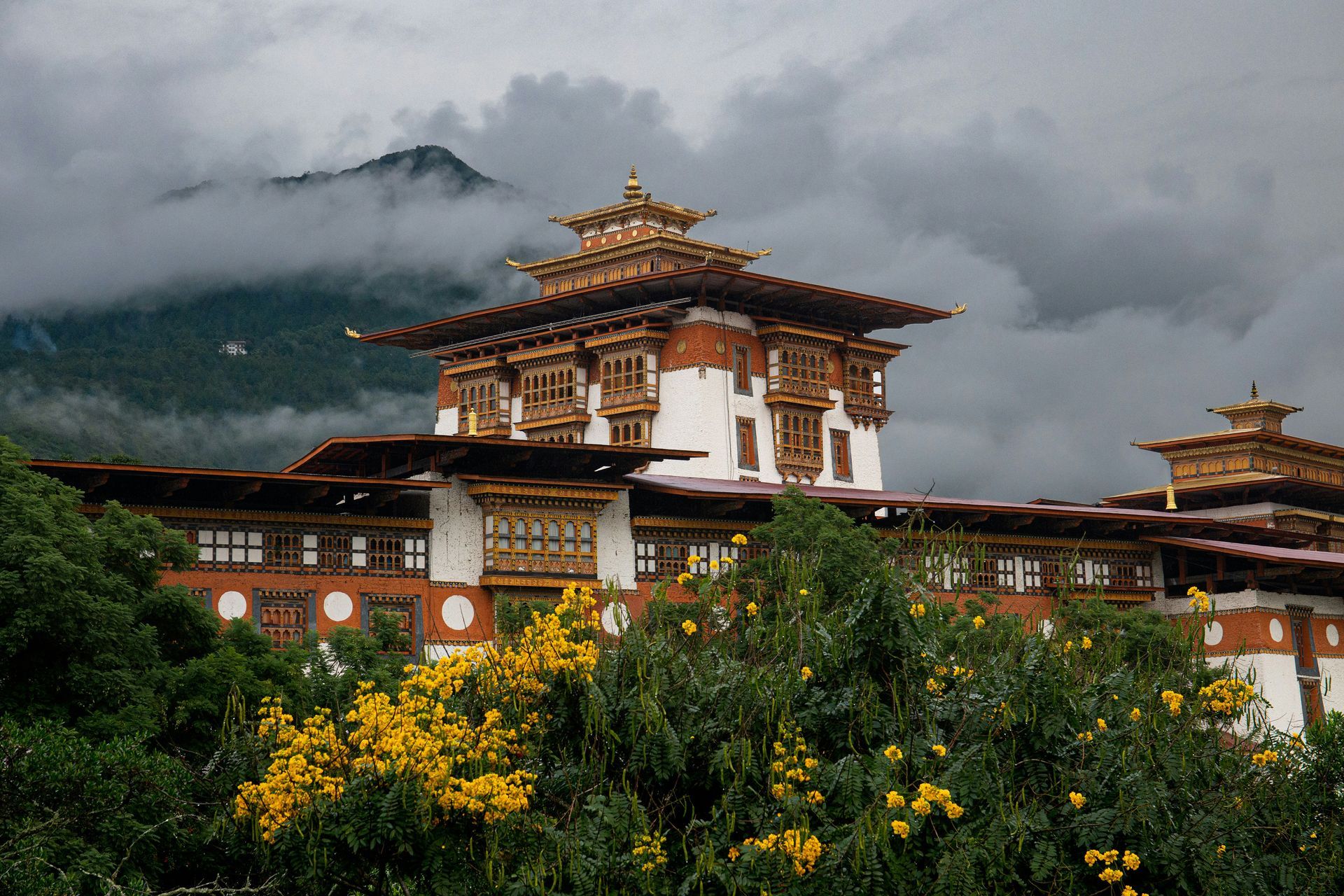 Punakha Dzong with tiered golden roofs amidst lush greenery and mountains in Punakha, Bhutan.
