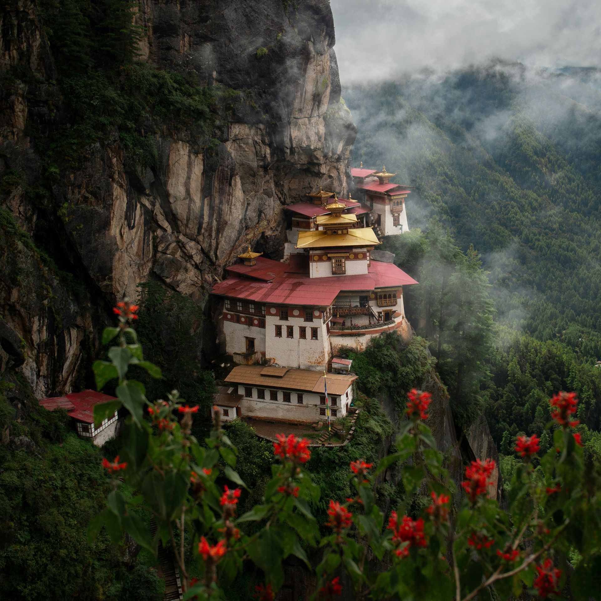 Cliffside monastery of Paro Taktsang, gold accents, and a backdrop of misty green mountains.