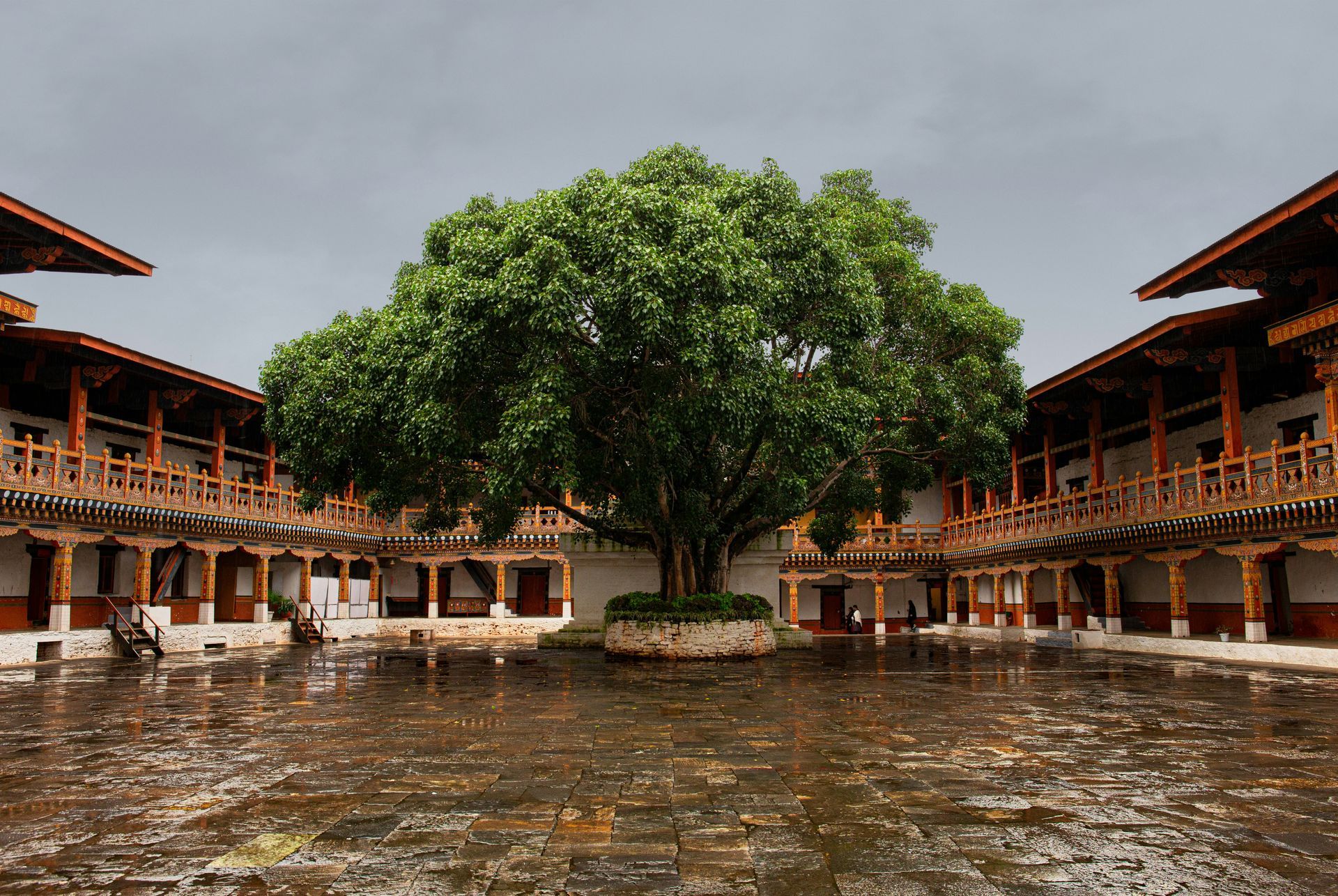 Courtyard of Punakha Dzong with large tree, surrounded by a two-story wooden structure in Punakha, Bhutan.