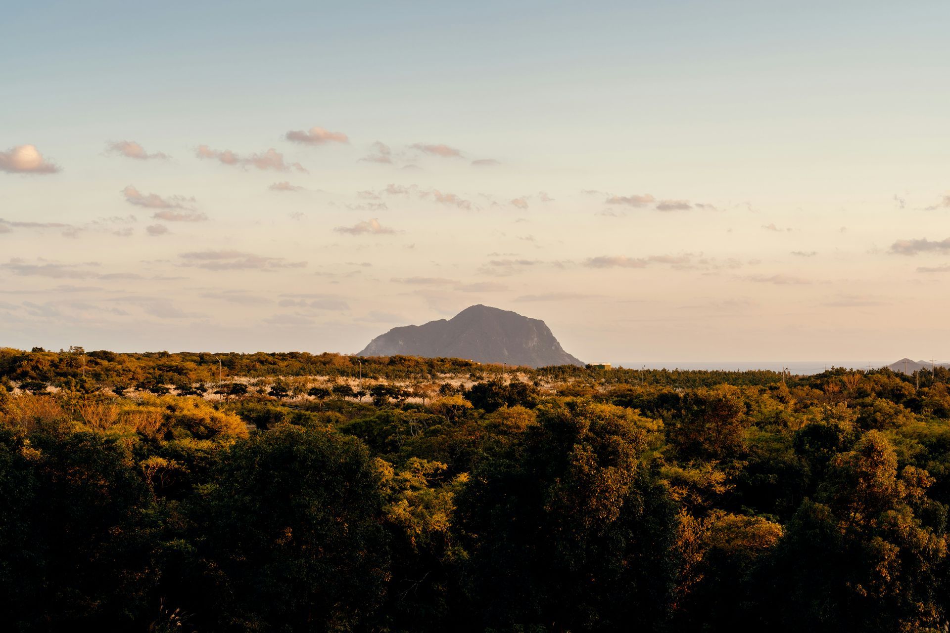 View of mountain over trees at sunset on Jeju Island, South Korea.