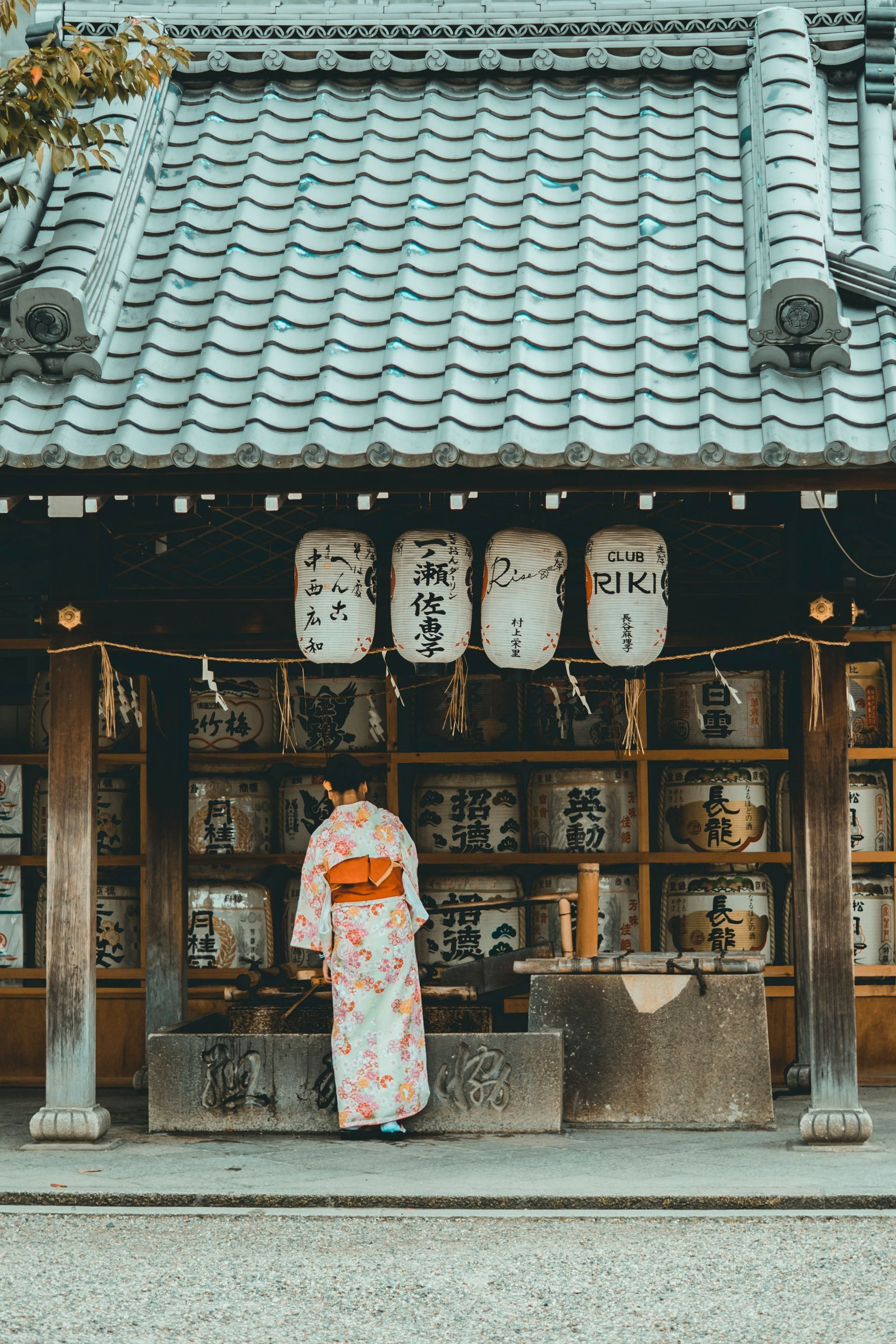 Woman in kimono at a Japanese shrine with sake barrels and lanterns in Kyoto, Japan.