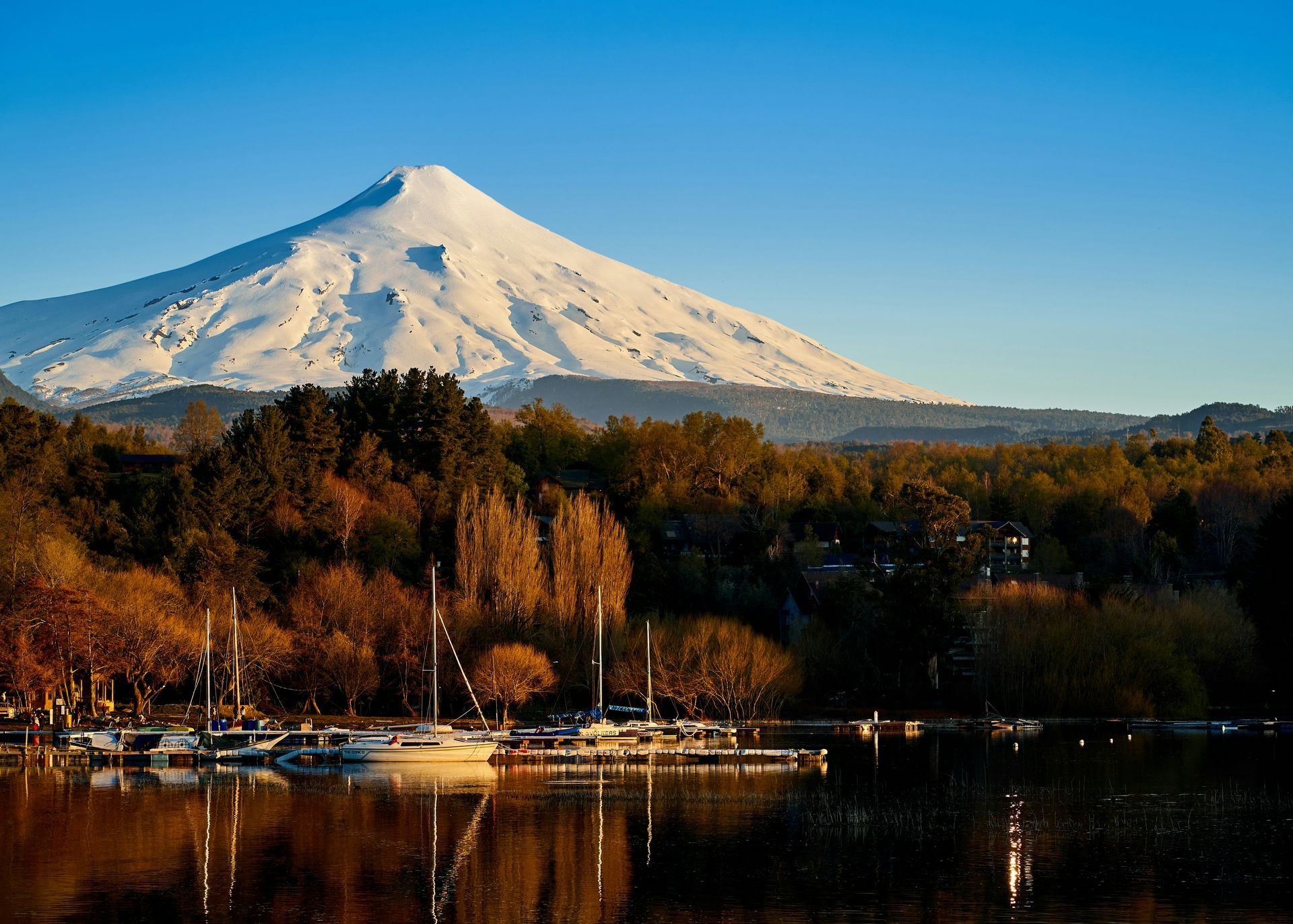 Snow-capped volcano over a lake with sailboats and fall foliage, under a clear blue sky in Los Lagos, Chile.