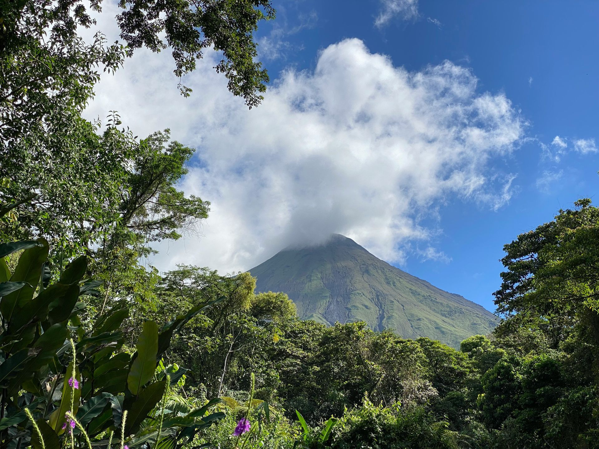 The Arenal Volcano peak partially obscured by clouds, framed by lush green foliage under a bright blue sky in Costa Rica.
