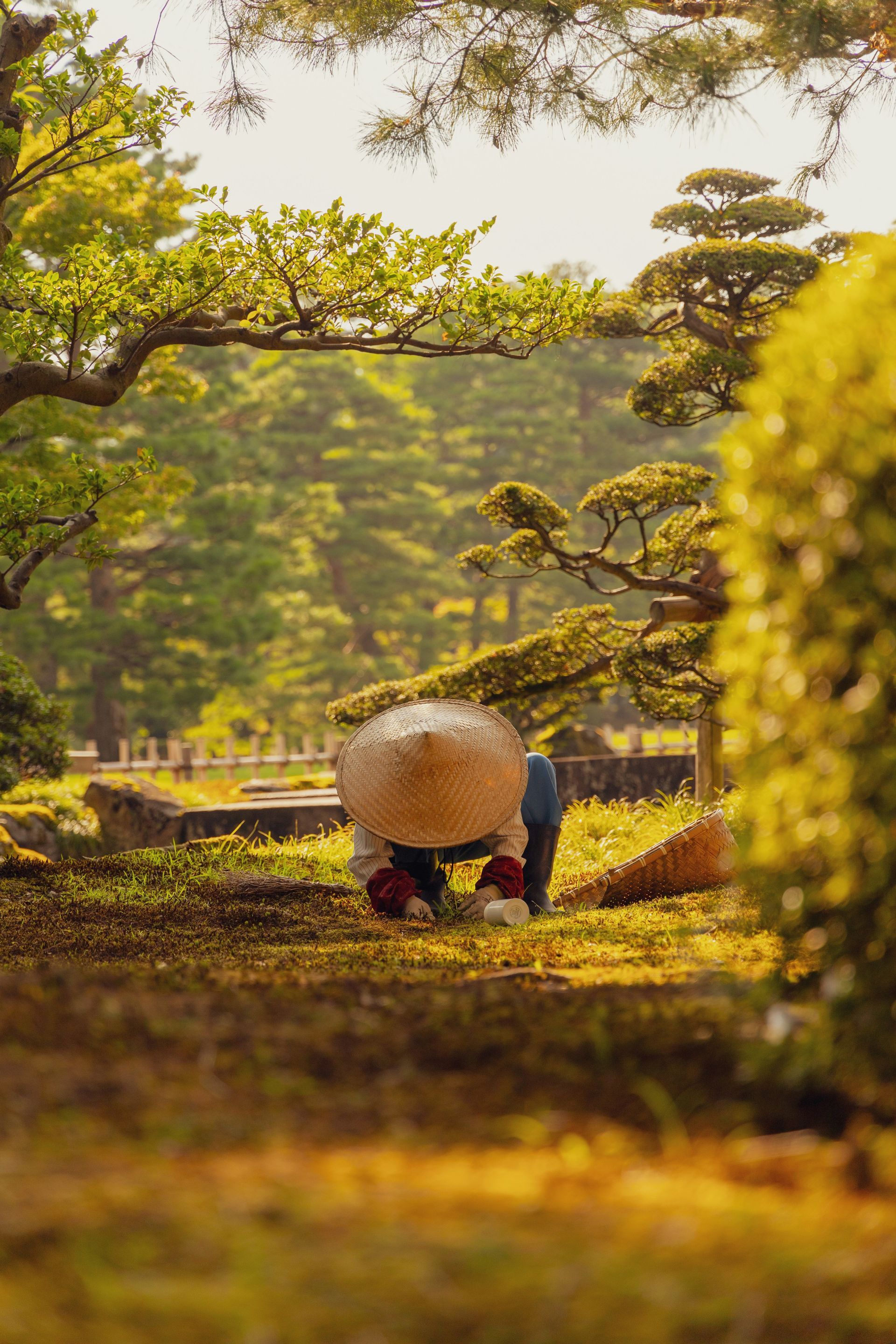 Person wearing straw hat tending a garden. Lush green trees in Kanazawa, Japan.