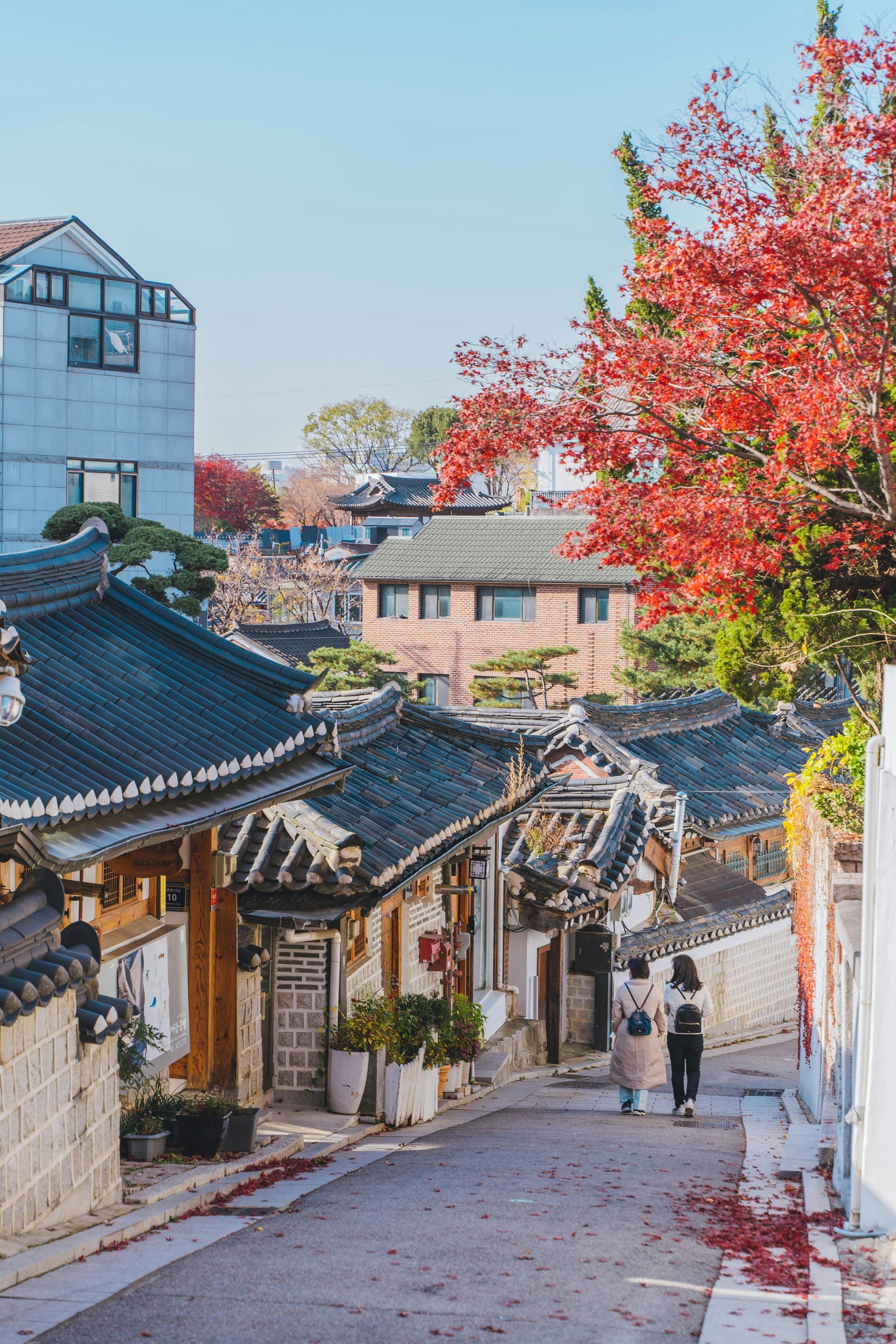 Narrow street lined with traditional Korean houses, fall foliage, and two people walking in Bukchon Hanok Village.