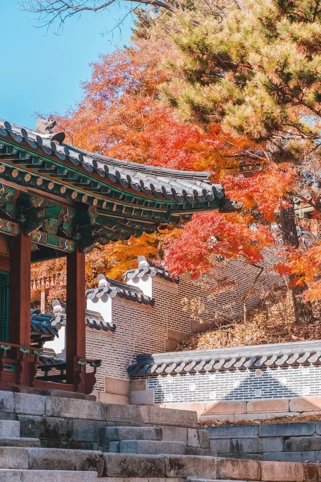 Traditional Korean building with a tiled roof, stone stairs, and autumn foliage at Changdeokgung, South Korea.