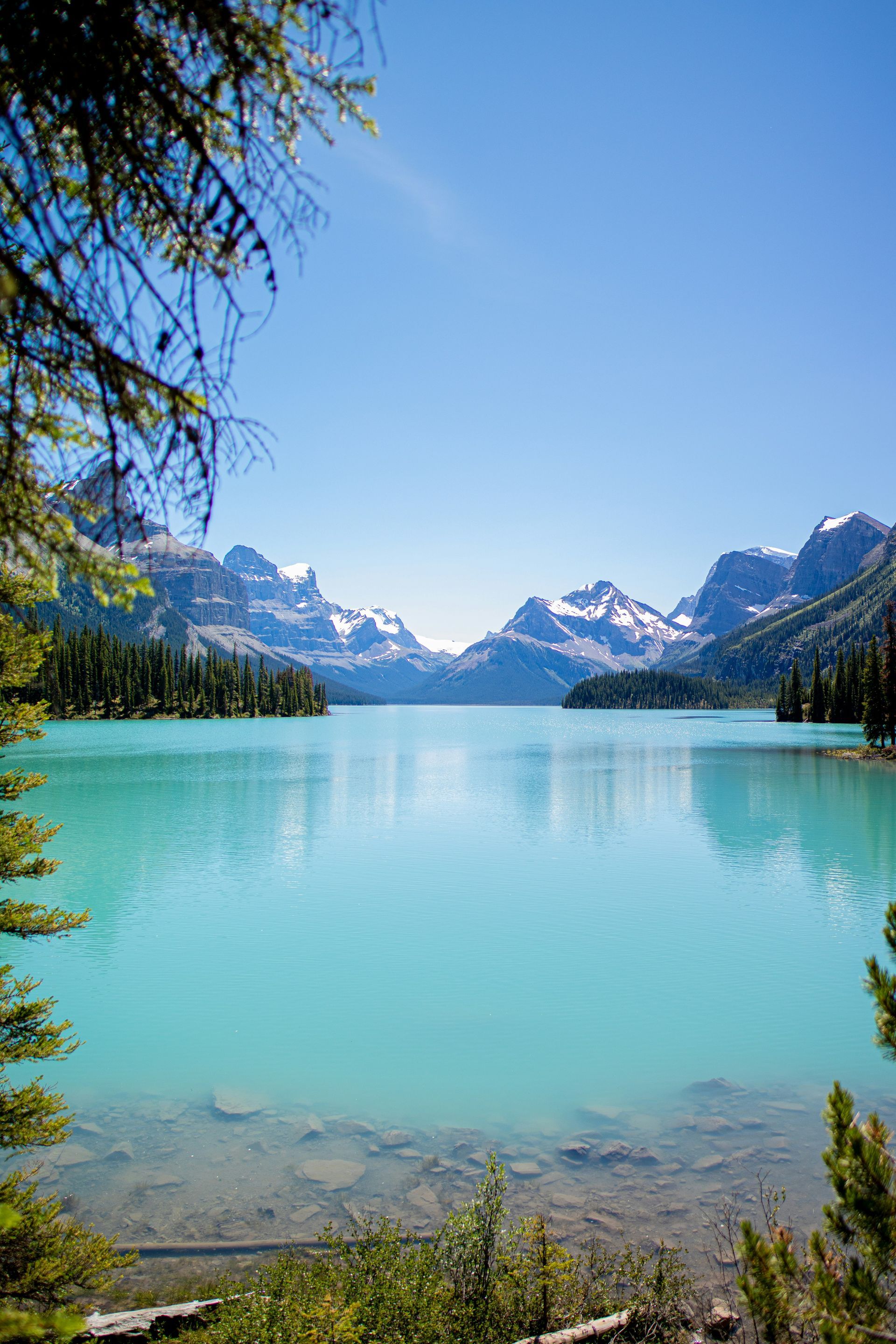 Turquoise lake framed by trees, with snow-capped mountains under a bright blue sky in Jasper, Canada.