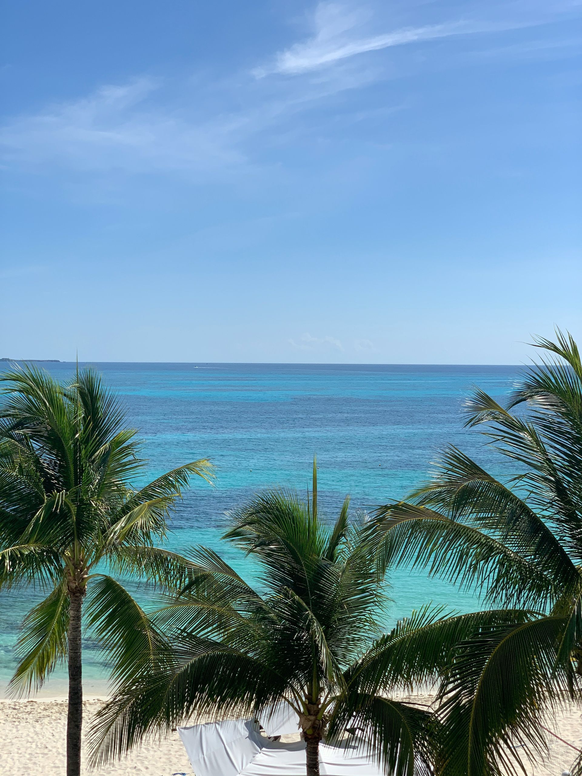 Palm trees frame a clear, turquoise ocean under a bright blue sky. White sand beach in foreground in Cancún, Mexico.