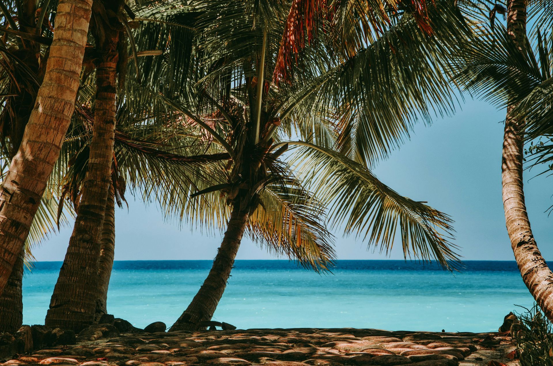 Palm trees frame a turquoise ocean on Nosy Iranj, Madagascar.