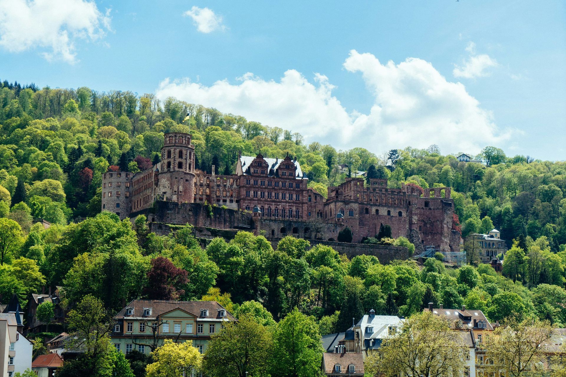 Heidelberg Castle ruins atop a green hillside, overlooking a town on a sunny day.