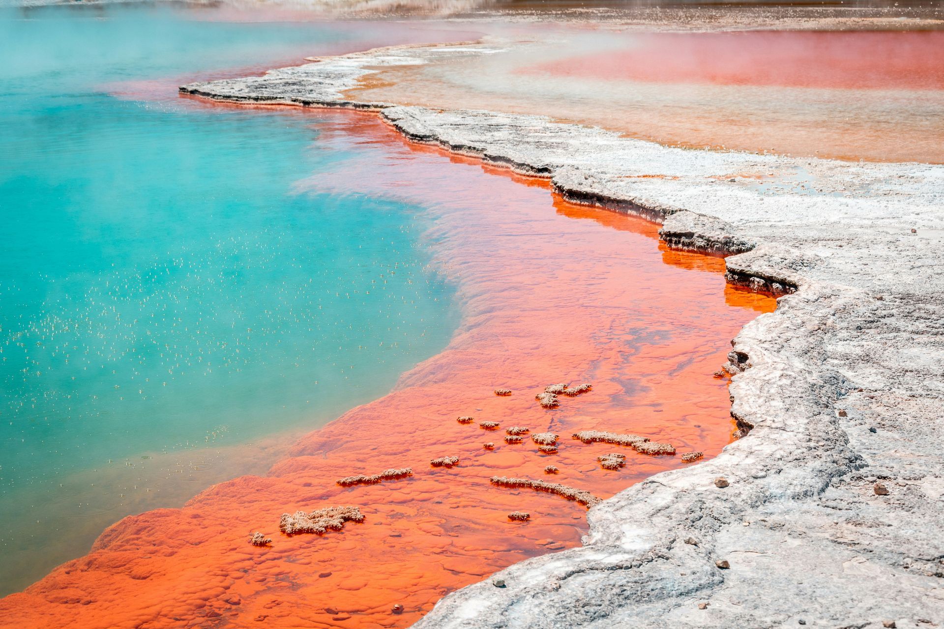 A geothermal pool with red and blue water at Waiotapu Thermal Wonderland in Rotorua, New Zealand.