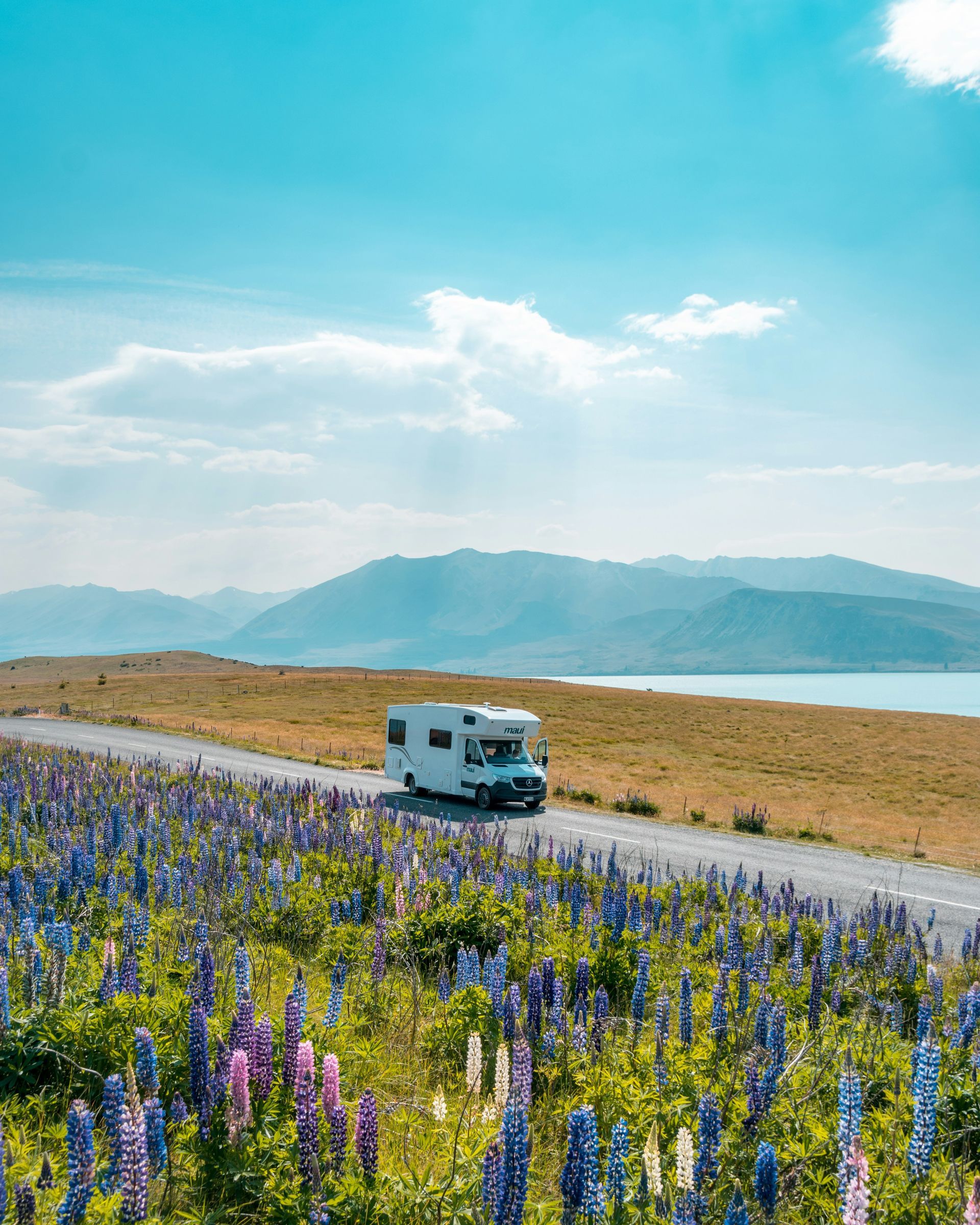 An rv is driving down a road next to Lake Tekapo, New Zealand, and a field of purple flowers.