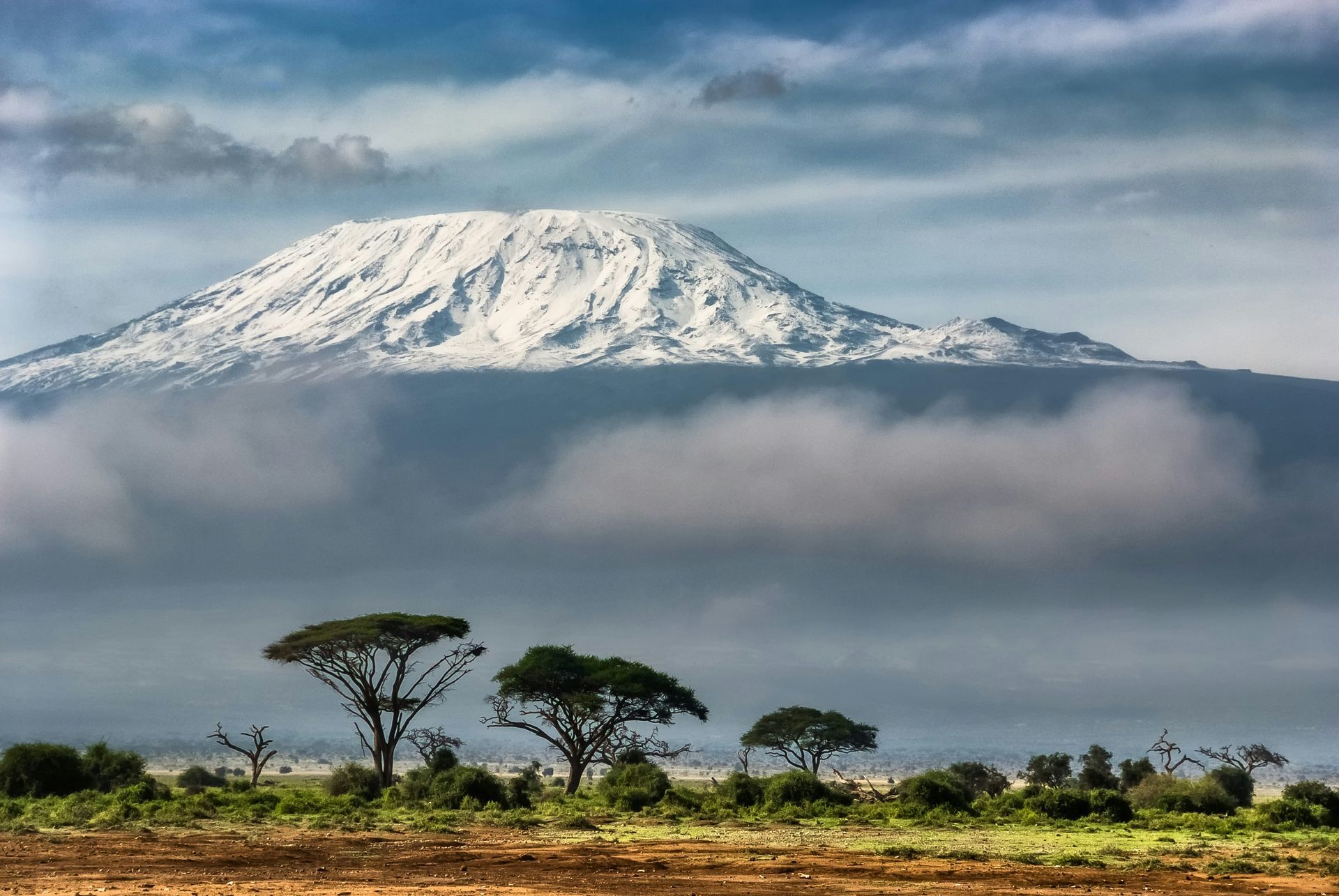 Mount Kilimanjaro with trees in the foreground and a cloudy sky in the background in Tanzania.