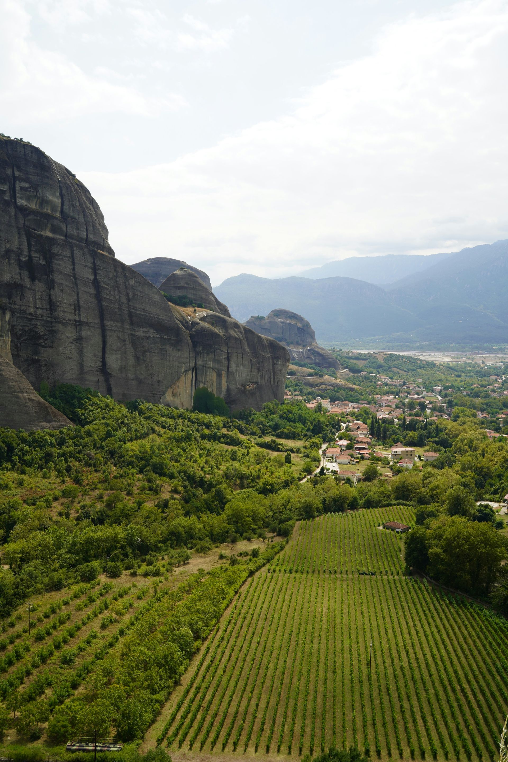 An aerial view of a vineyard surrounded by mountains and trees in Kalabaka, Greece.