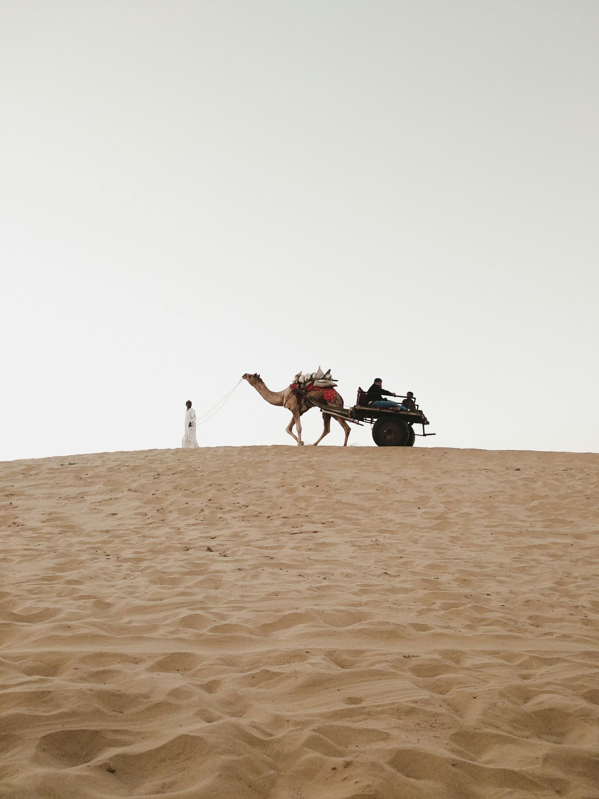 Camel pulling a cart across a sand dune, lighthouse in the distance in Jaisalmer, India.