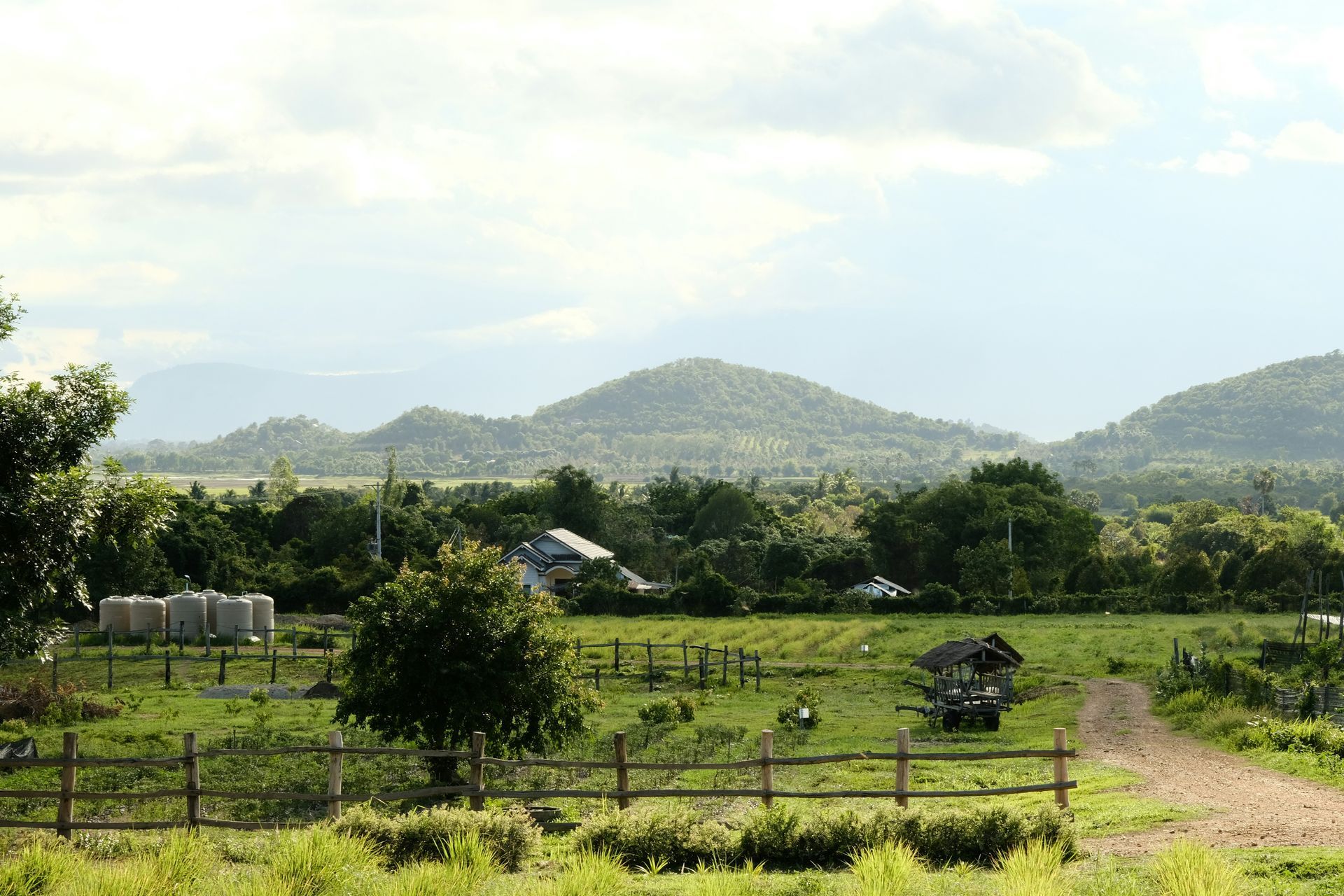 Green field with a fence, trees, a dirt road, and mountains in the background in Kampot, Cambodia.