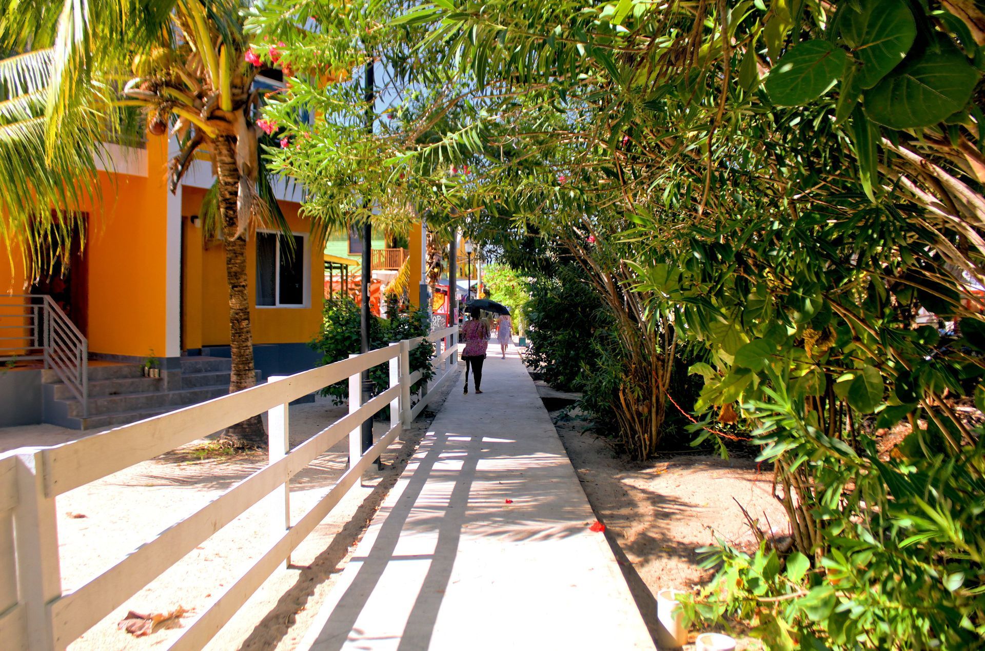 A sidewalk between a yellow building and lush greenery, with people walking towards the distance in Placencia, Belize.