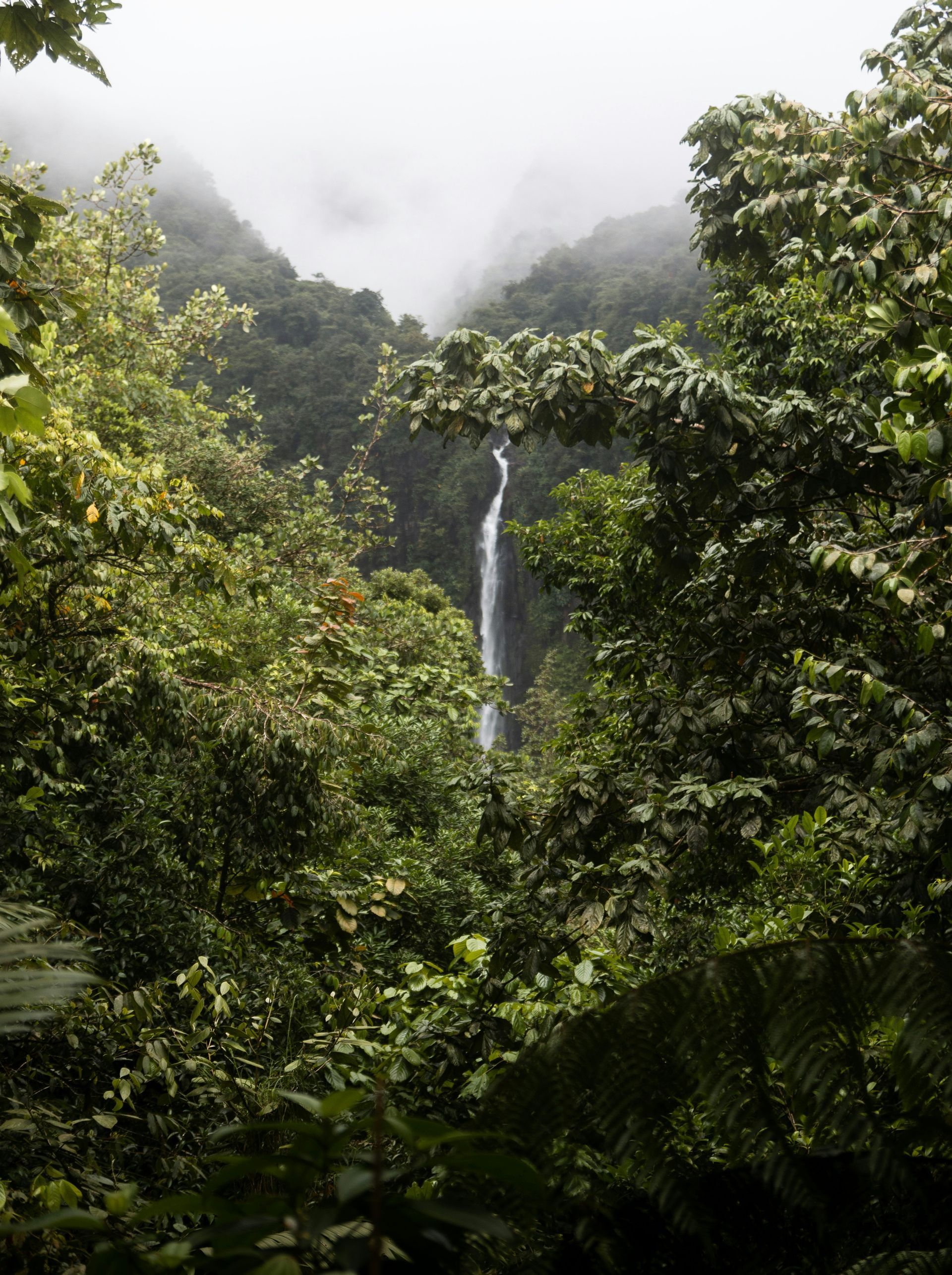 The Fortuna Waterfall cascading through a lush, green forest with fog in the background in Costa Rica.