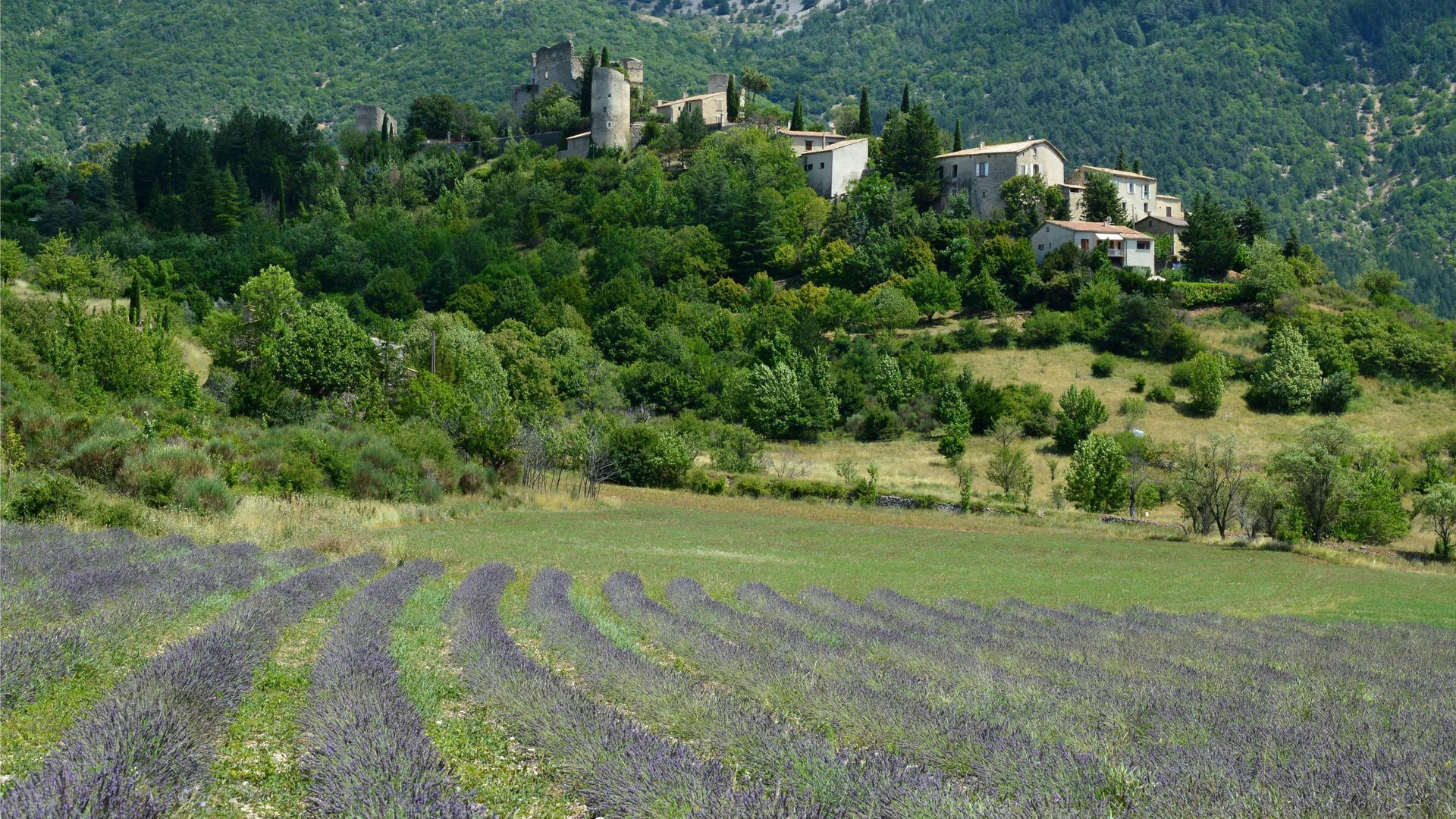 An aerial view of a small town surrounded by trees on a hillside in Provence, France.
