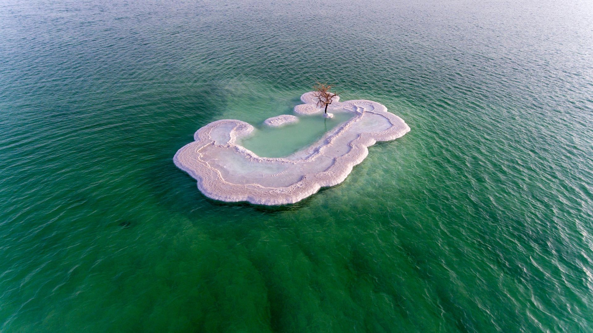 An aerial view of a small island in turquoise water, fringed with white salt formations, a tree in Jordan.