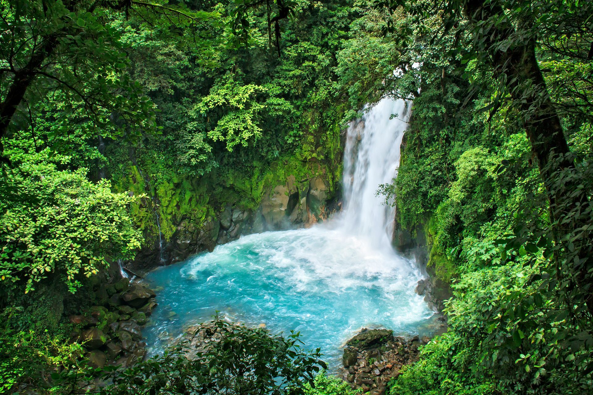 The blue waterfall of Costa Rica cascading into a turquoise pool surrounded the jungle of Rio Celeste.