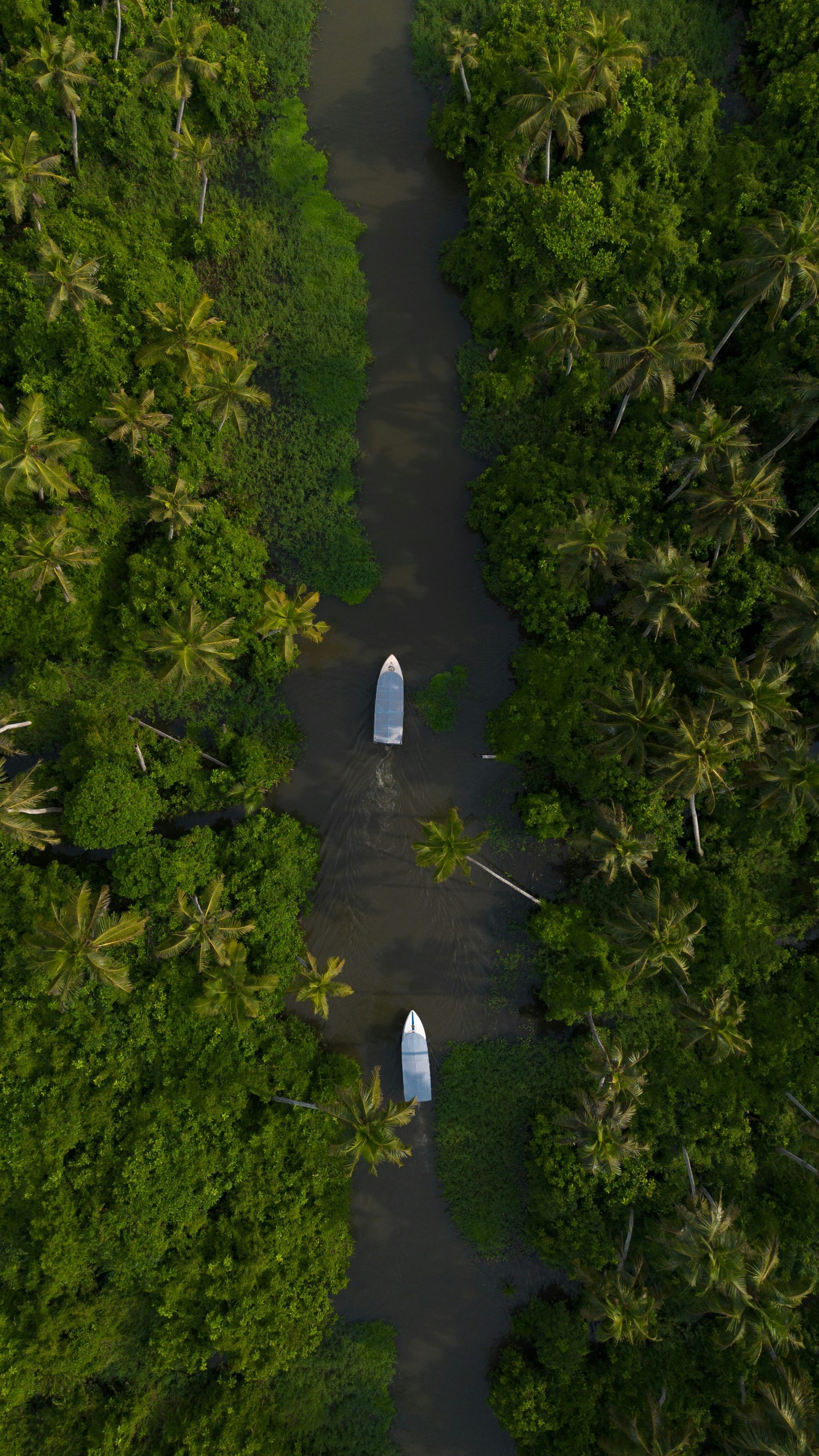 Narrow river winding through lush green trees with two boats in Kerala, India.