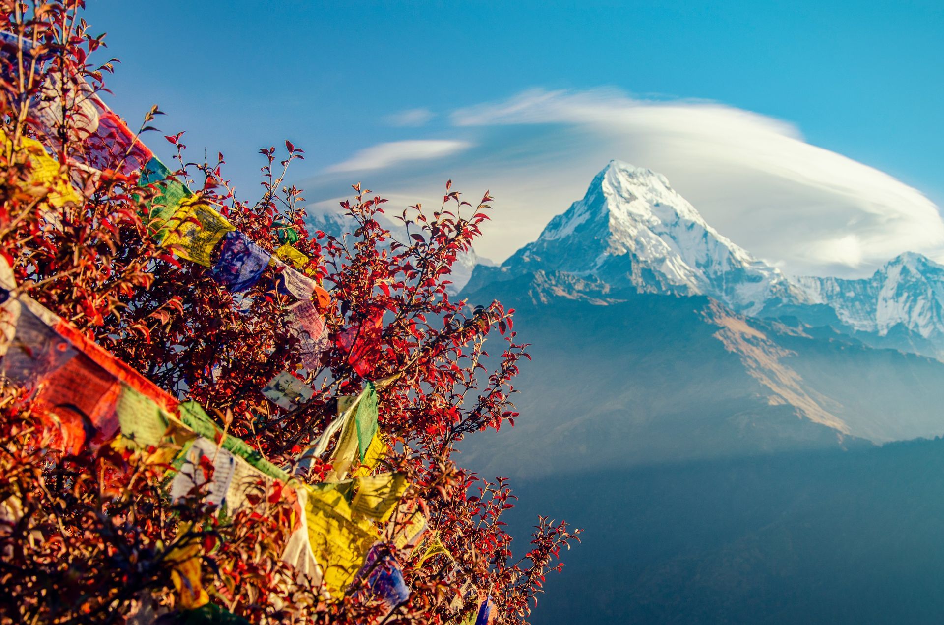Snow-capped mountain peak behind prayer flags and colorful foliage in Nepal.