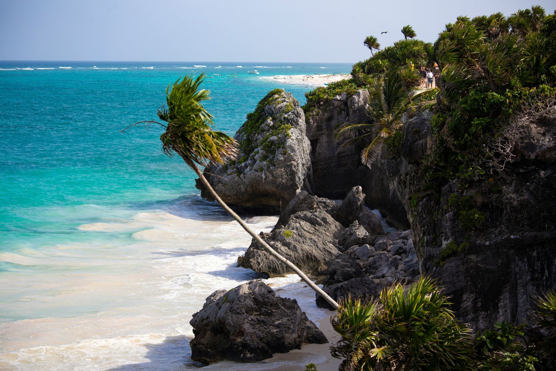 Turquoise ocean against a rocky cliff with a tilted palm tree. White sand beach in the foreground in Tulum, Mexico.