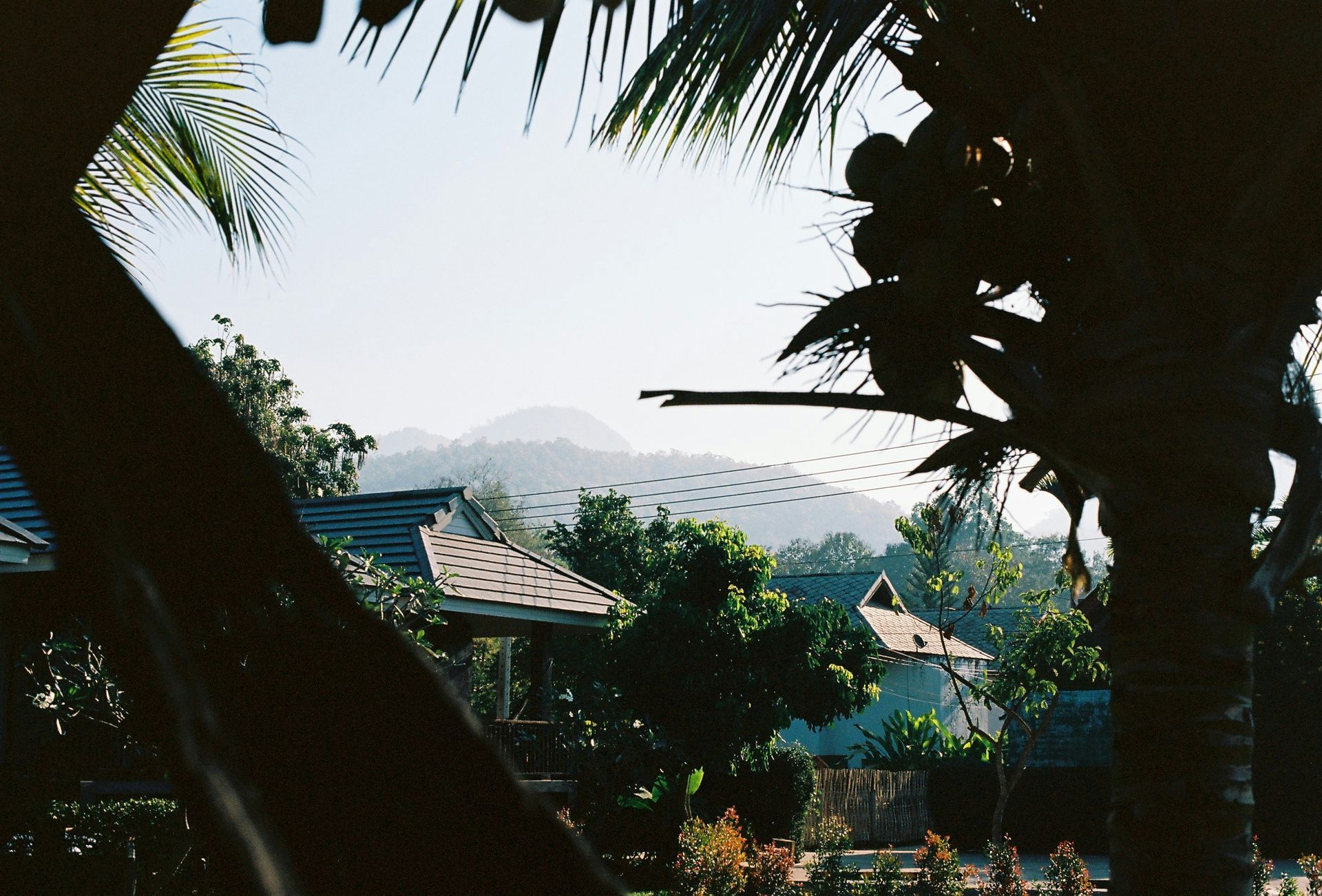 A silhouette of a palm tree with mountains and the town of Pai, Thailand  in the background.