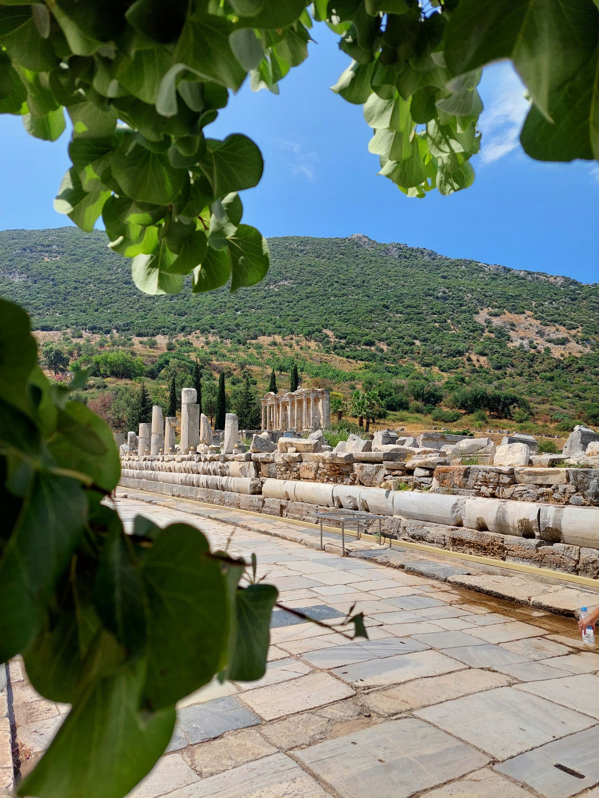 Ancient Roman ruins in Ephesus, Turkey, with a backdrop of a lush green hillside and blue sky.