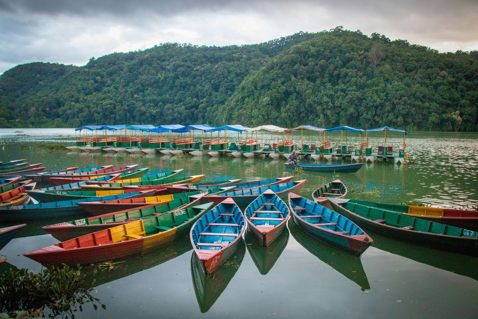 Boats on a lake with a lush green mountain backdrop. Colorful boats docked on the water in Pokhara, Nepal.