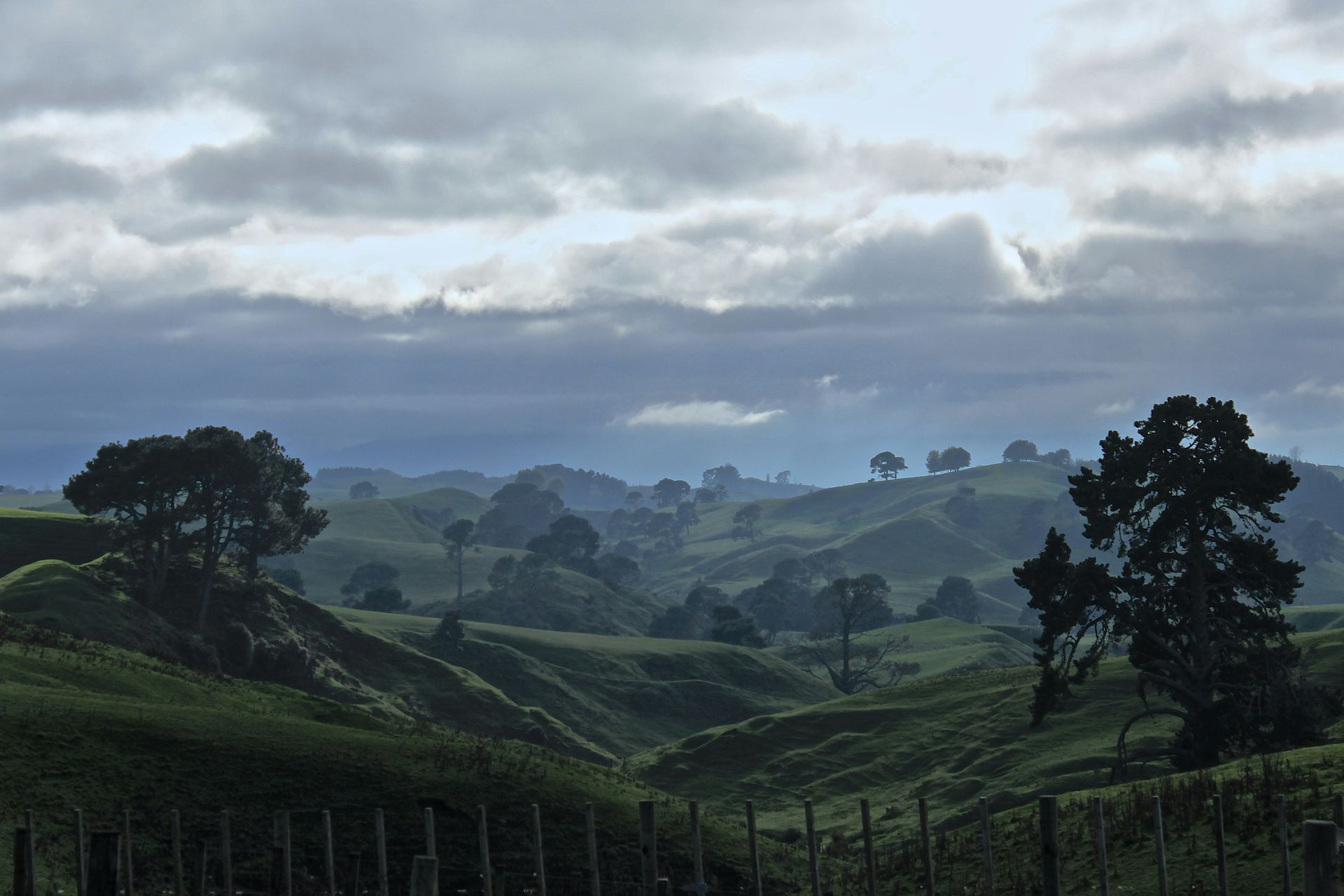 A fence surrounds a lush green hillside with trees in the foreground in Matamata, New Zealand.