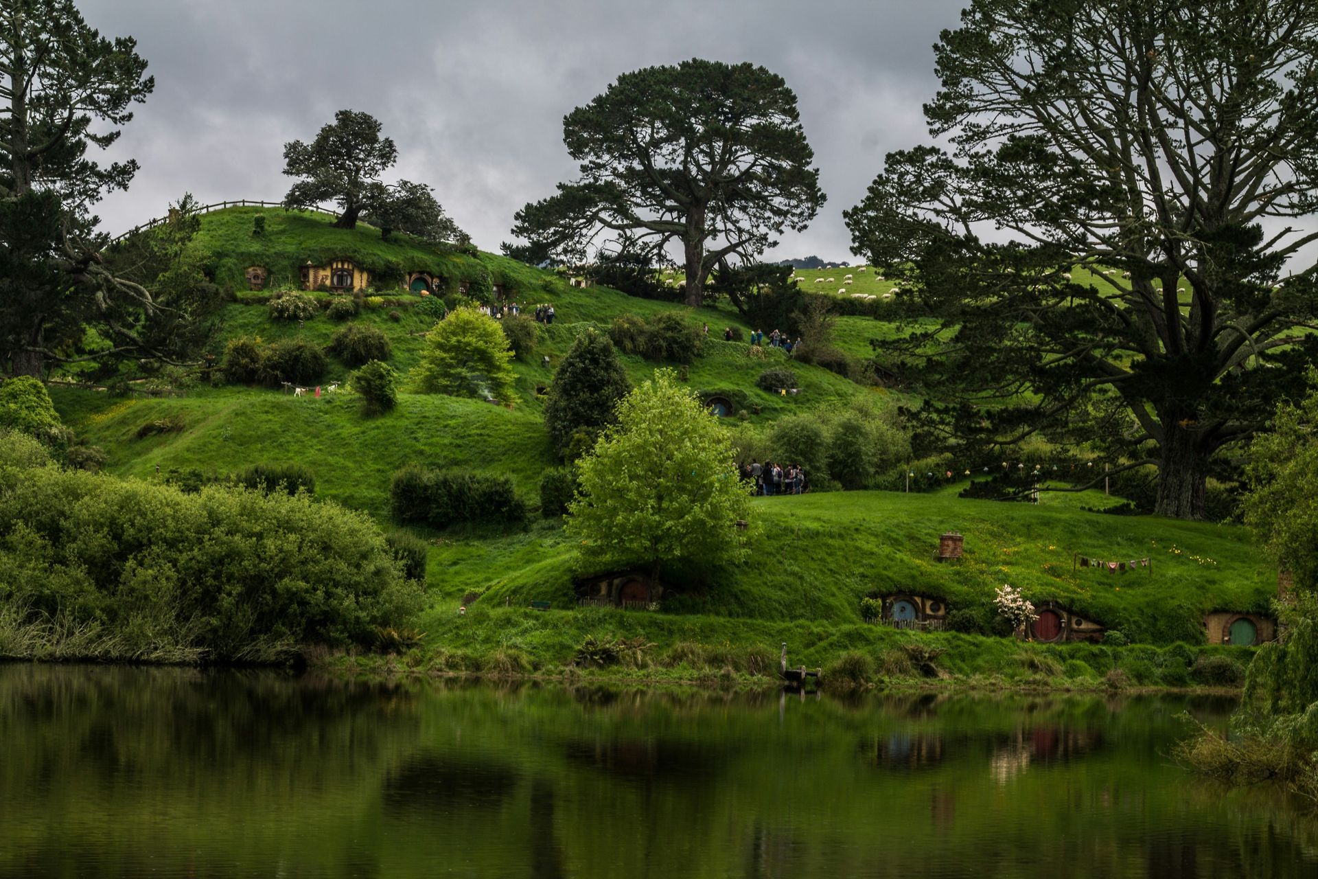 A lush green hillside with trees and a lake in the foreground at the Hobbiton Movie Set in Matamata, New Zealand.