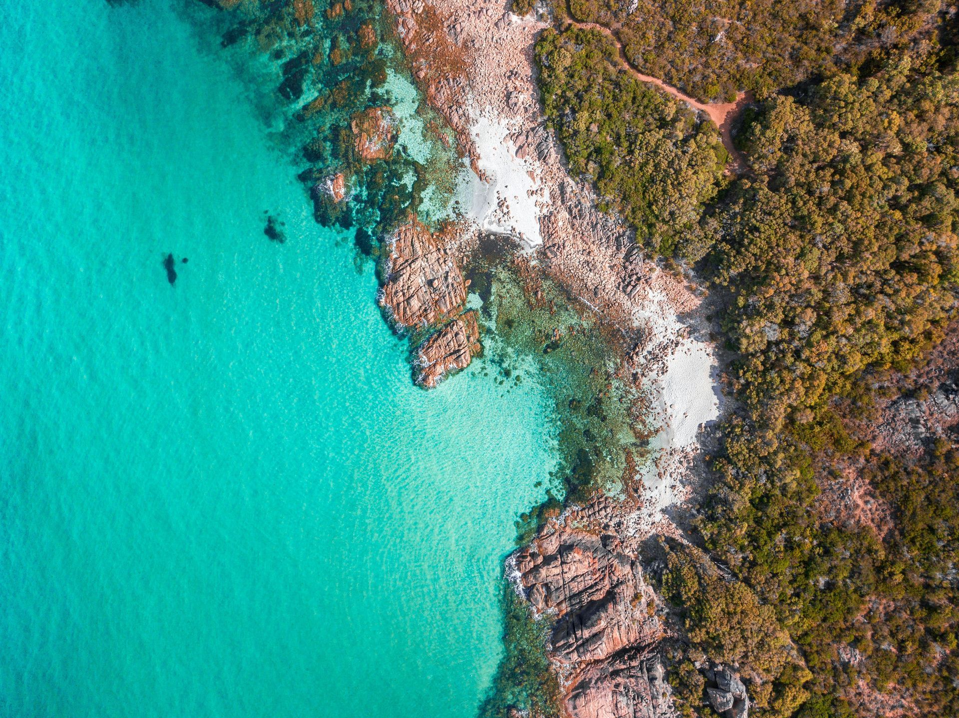 An aerial view of a turquoise ocean surrounded by trees and rocks in Western Australia.